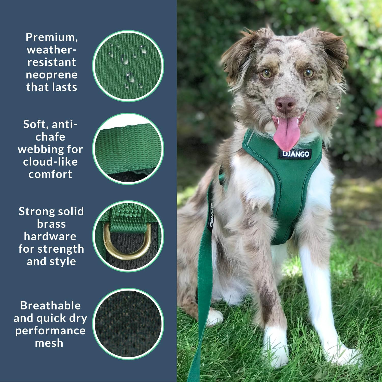 DJANGO Adventure Dog Harness - Stylish and Durable Medium Dog Harness for Outdoor Adventures and Everyday Wear - Forest Green Neoprene Adjustable Harness for Dogs with Reflective Piping, Brass D-Ring image number 3