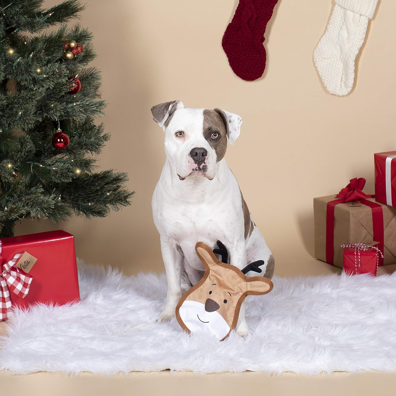 Fringe Studio Plush Dog Toy, Reindeer Face (729027) image number 1