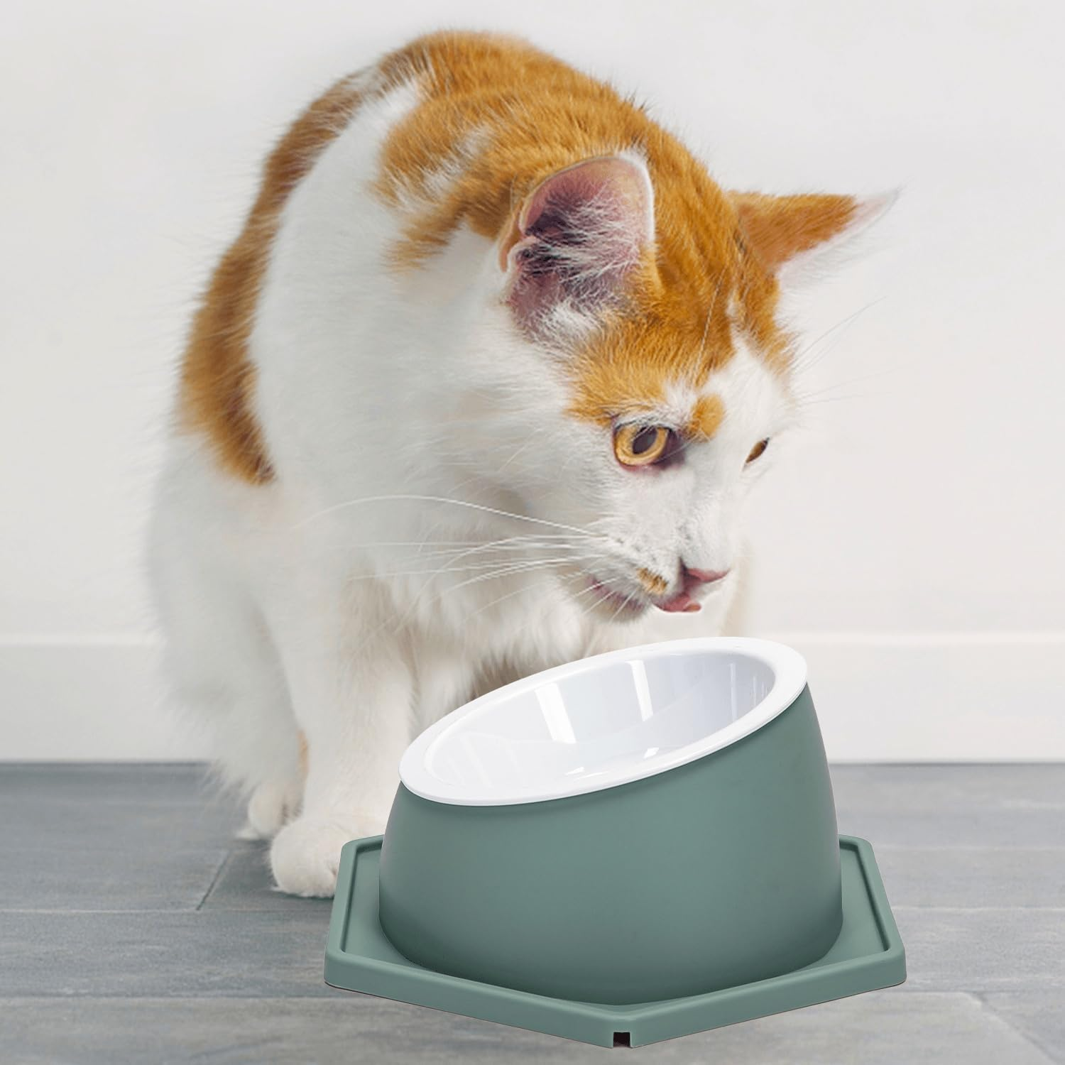 Patapalooza Elevated Cat Bowl: Ergonomic Design, Non-Slip and Easy to Clean, Ideal for Improving Eating Posture and Facilitating Digestion. image number 1