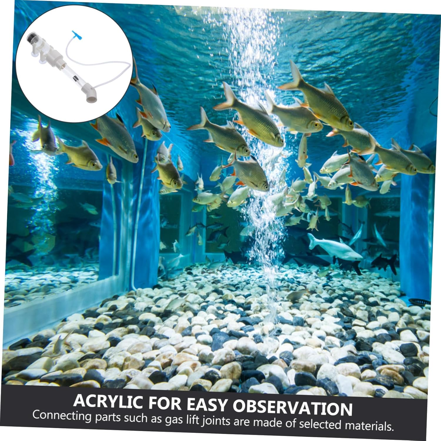 GARVALON Cichlid Hatchery Incubator Tube 40Mm Aquarium Fish Egg Breeding Tank Tropical Mouth-Brooding Fish Fry Hatchery Supply for Aquatic Pets Random Style image number 4