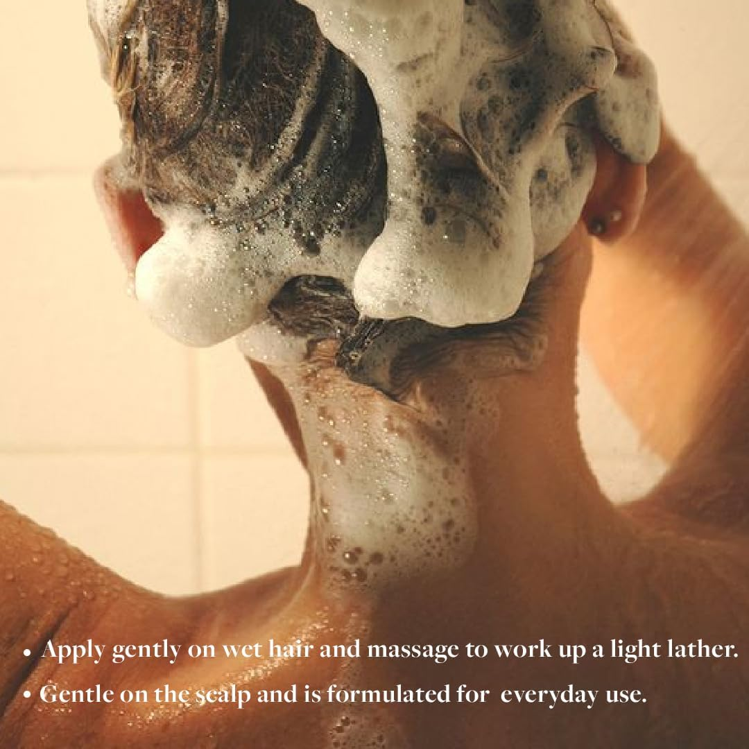 Sadhev Ayurvedic Anti-Hairfall Shampoo with Curry Leaves, Bhringraj, Hibiscus and Amla - 200 Ml (Pack of 1) image number 2