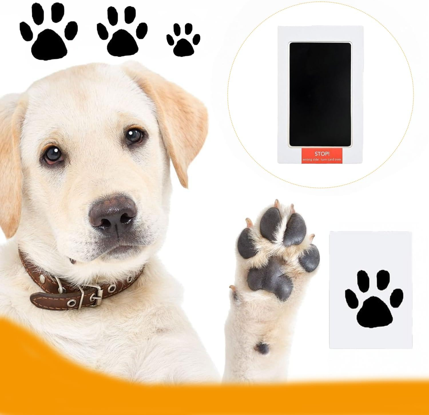 Inkless Hand and Footprint Kit, 8 Pads and 16 Impression Cards, Cleantouch for Keepsake, Dog Nose and Paw Print image number 5
