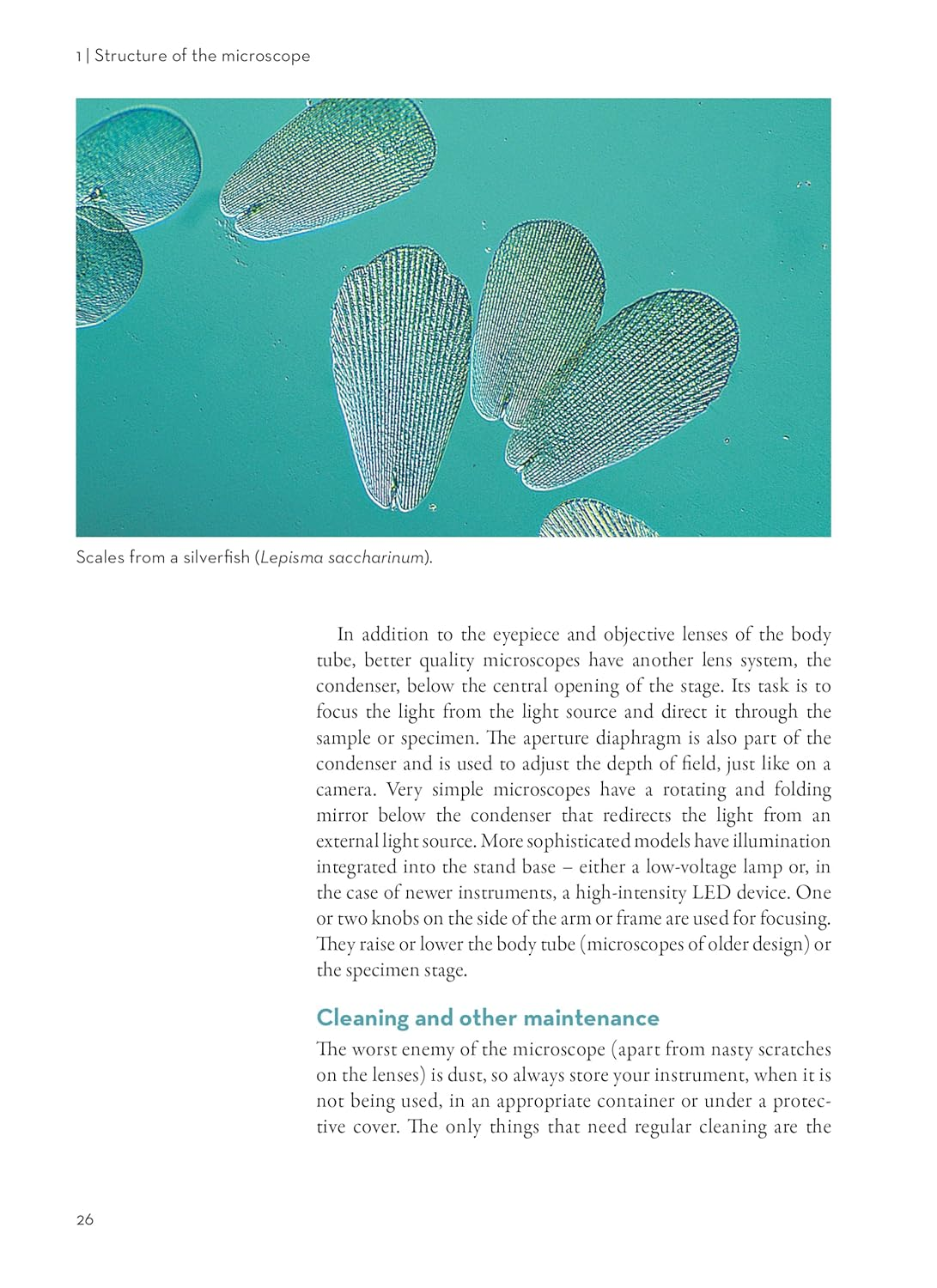 Worlds within Worlds: an Introduction to Microscopes