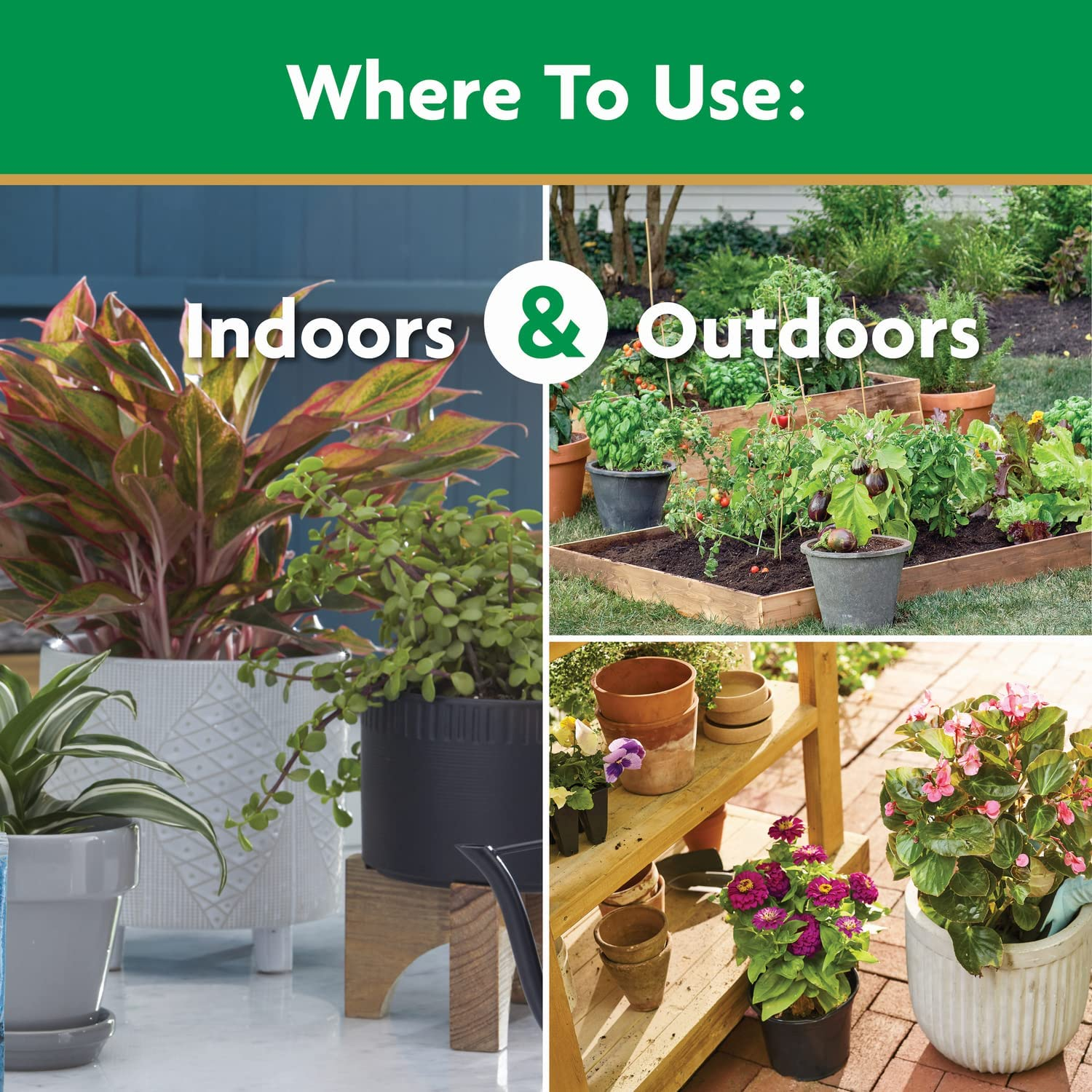 Miracle-Gro Water Soluble All Purpose Plant Food, Fertilizer for Indoor or Outdoor Flowers, Vegetables or Trees, 3 Lbs. image number 5