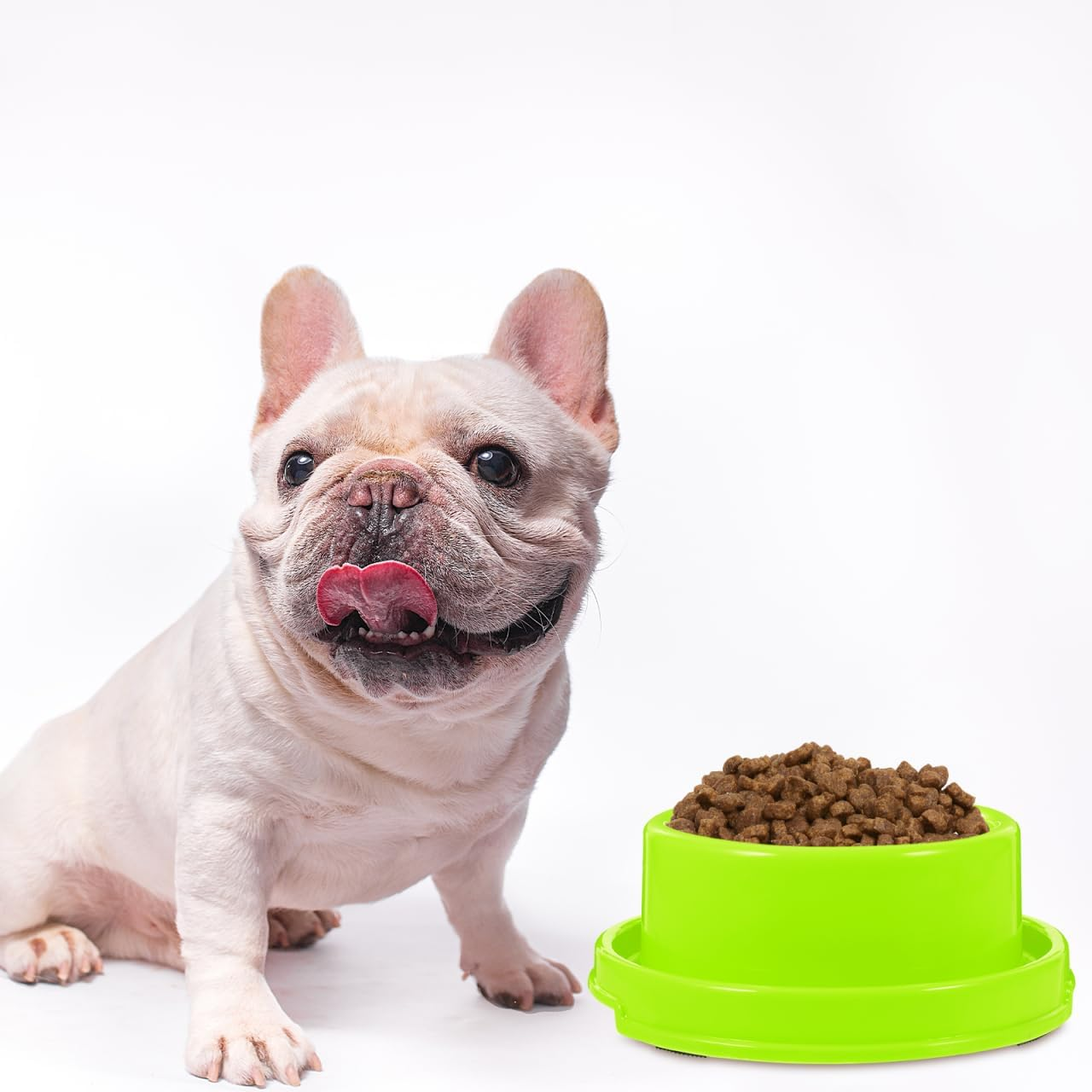 Ipetboom Ants Away Dog Bowl, Plastic Cat Puppy Food Bowls round Pet Food Dish, Ant Proof No Spill Water Feeding Eating Dishs for Small Animals, Green