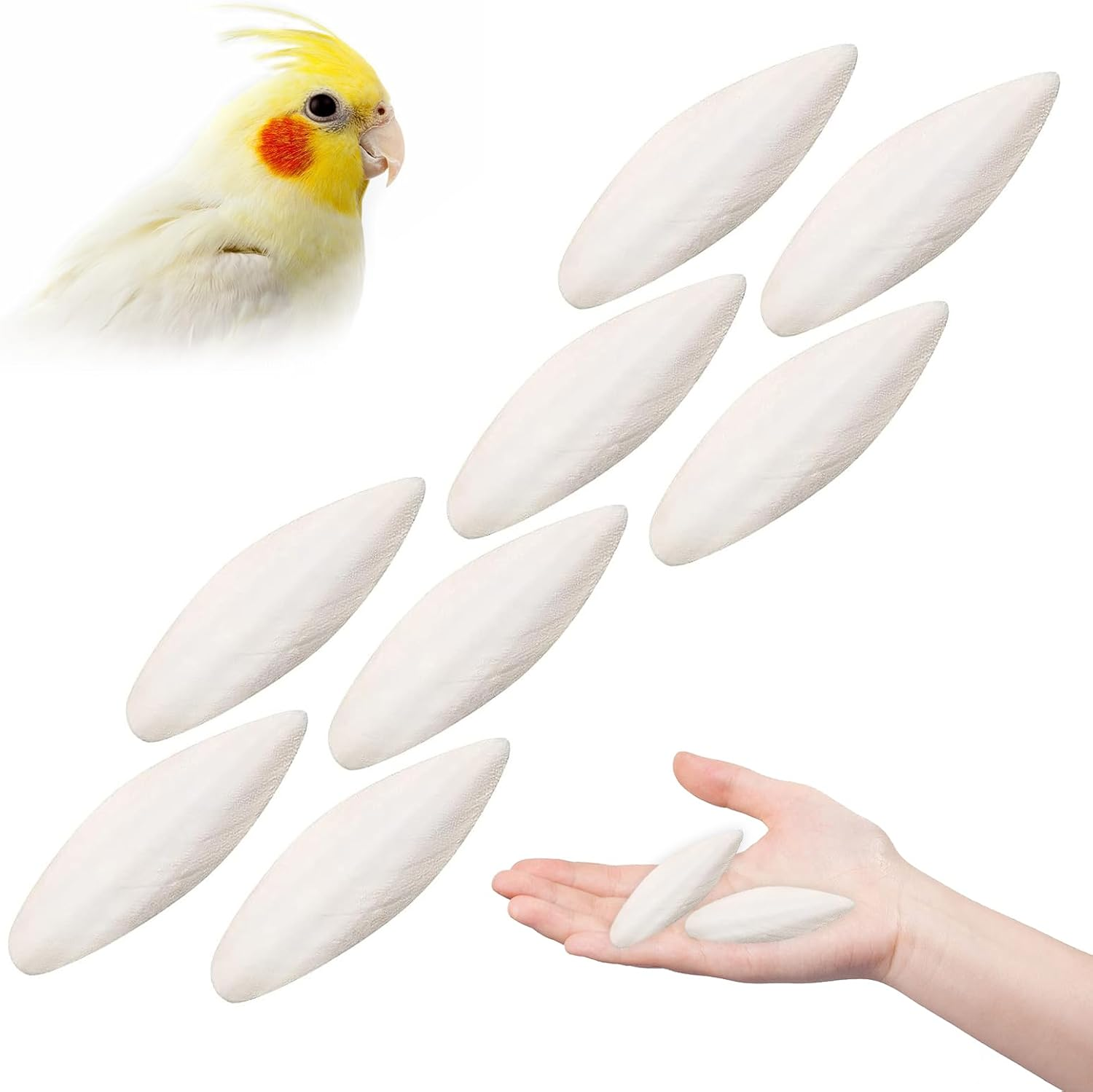 Natural Cuttlefish Bone 8 Pieces for Birds, Parrots and Turtles &ndash; Toys image number 4
