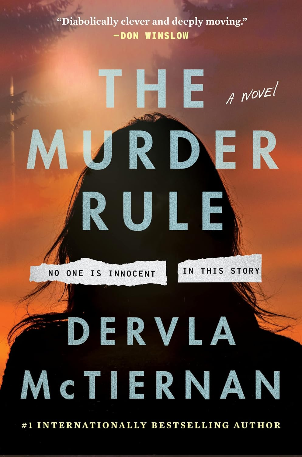 The Murder Rule: the Smash Hit No.1 Bestseller