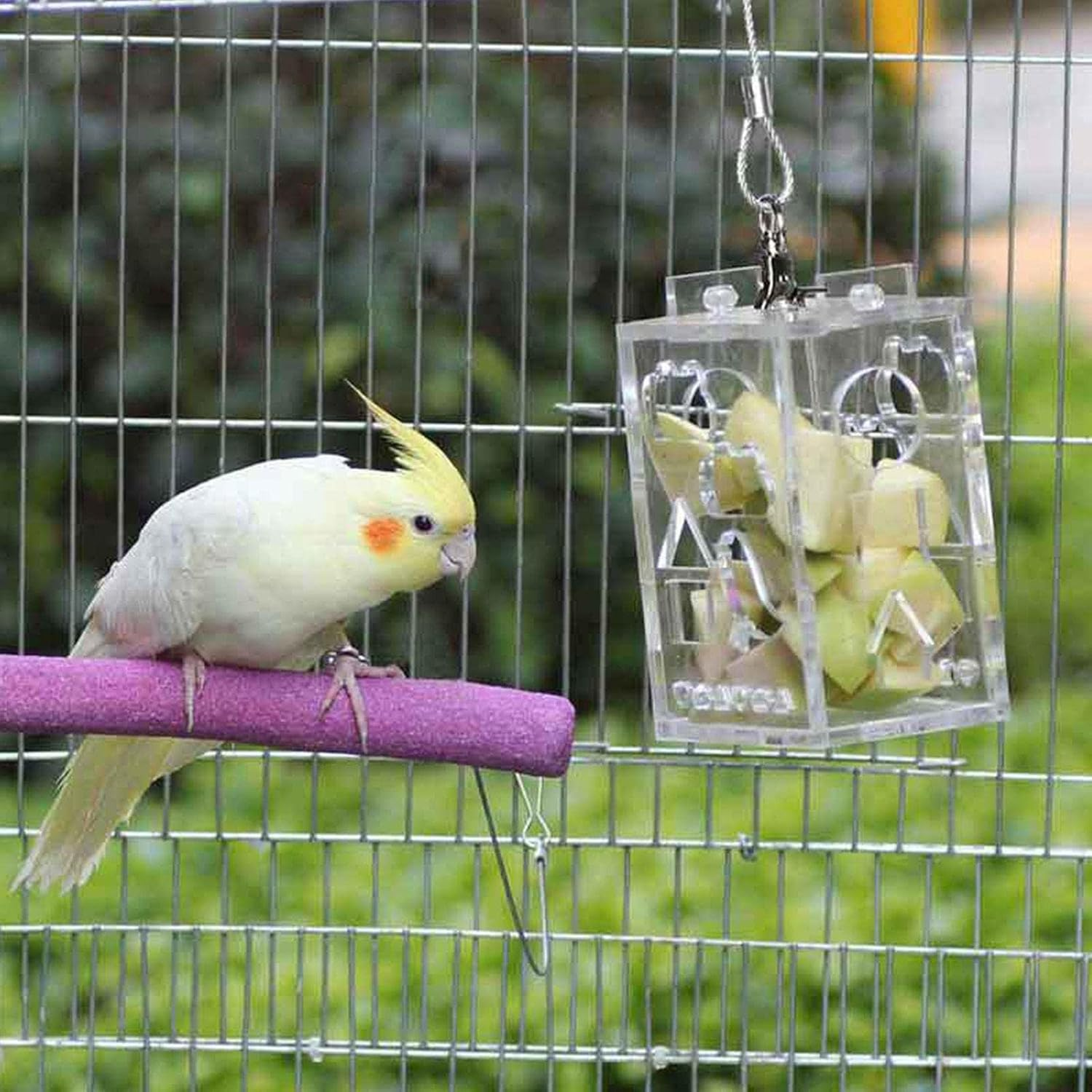 Acrylic Parrot Feeder Toy,Parrot Feeder Toy Acrylic Box Food Holder - Bird Treats Boredom Buster for Anchovies, Parakeets, Cockatiel, Mynah? image number 3