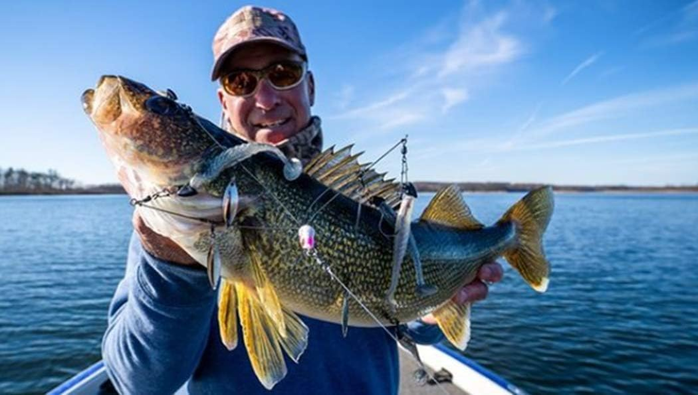 Yum Yumbrella Flash Mob Junior Ultralight Willow Blade Multi-Lure Rig image number 2