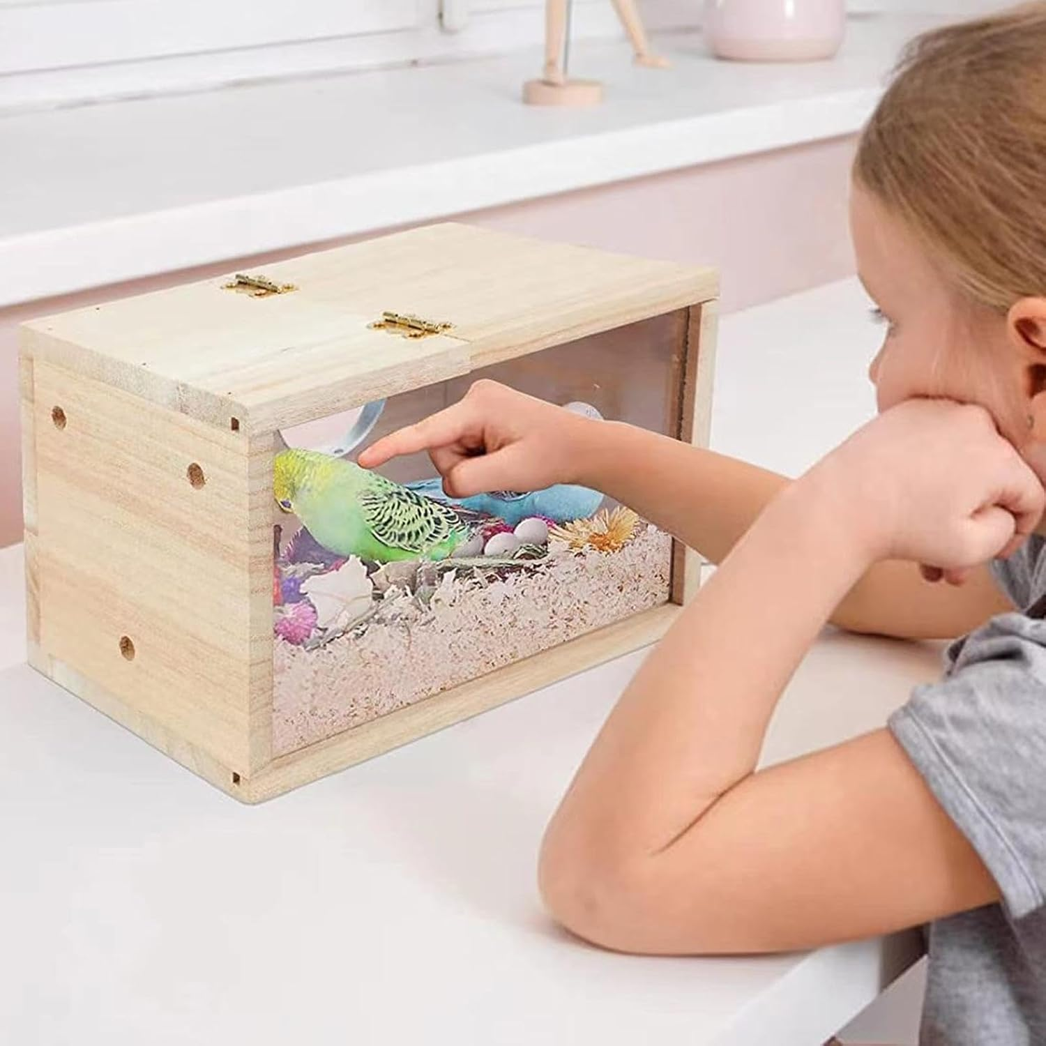 Bird Breeding Box - Transparent Bird House - Lovebirds, Canary, Budgerigar Cockatiel Breeding House, Conure Nesting Box with Clear Acrylic Window image number 1