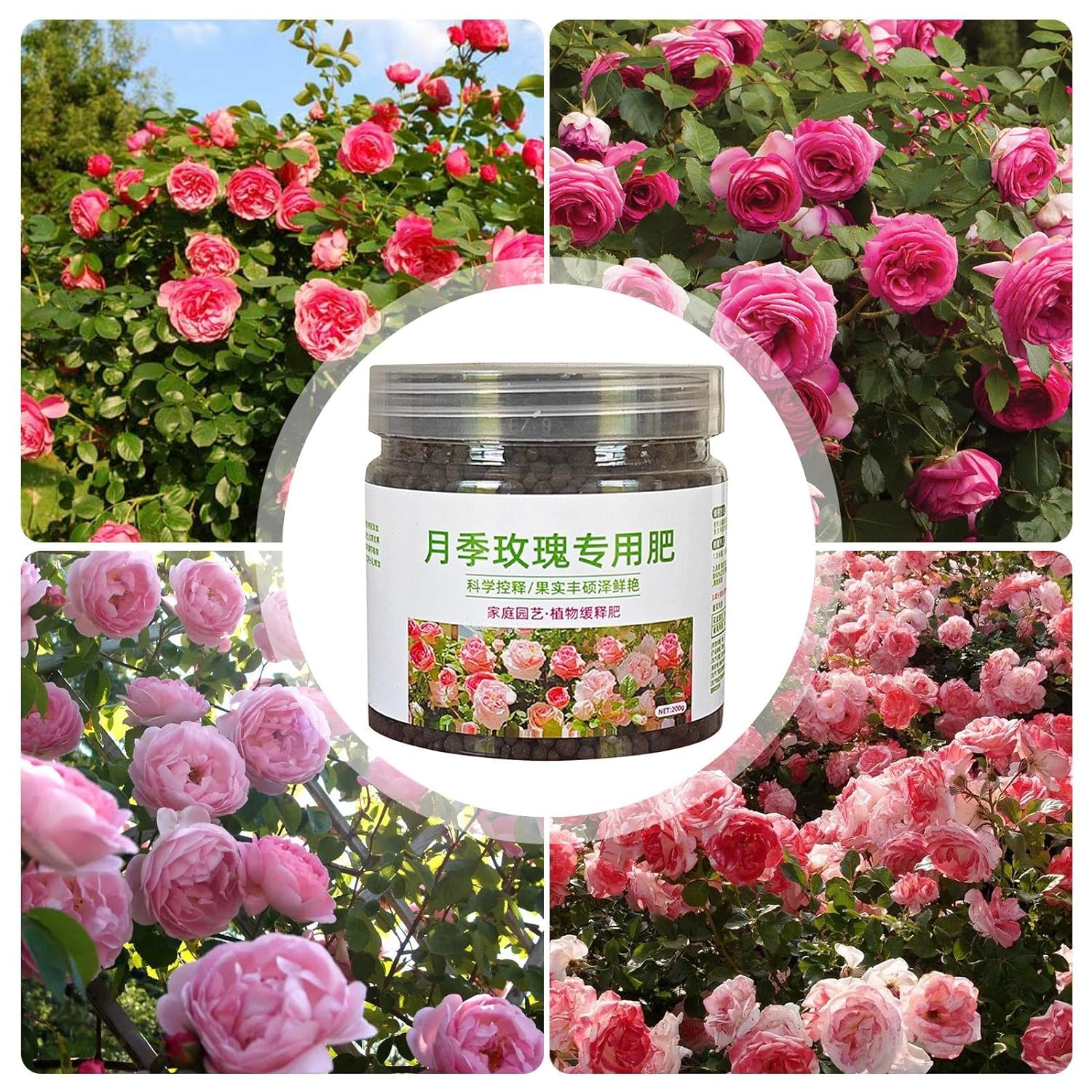 Fertilizer for Roses, 200G Balanced Nutritional Scientifical Formula Fertilizer, Coating Technology Professional Gardening Tools, Fertilizer Supplies for Garden image number 2