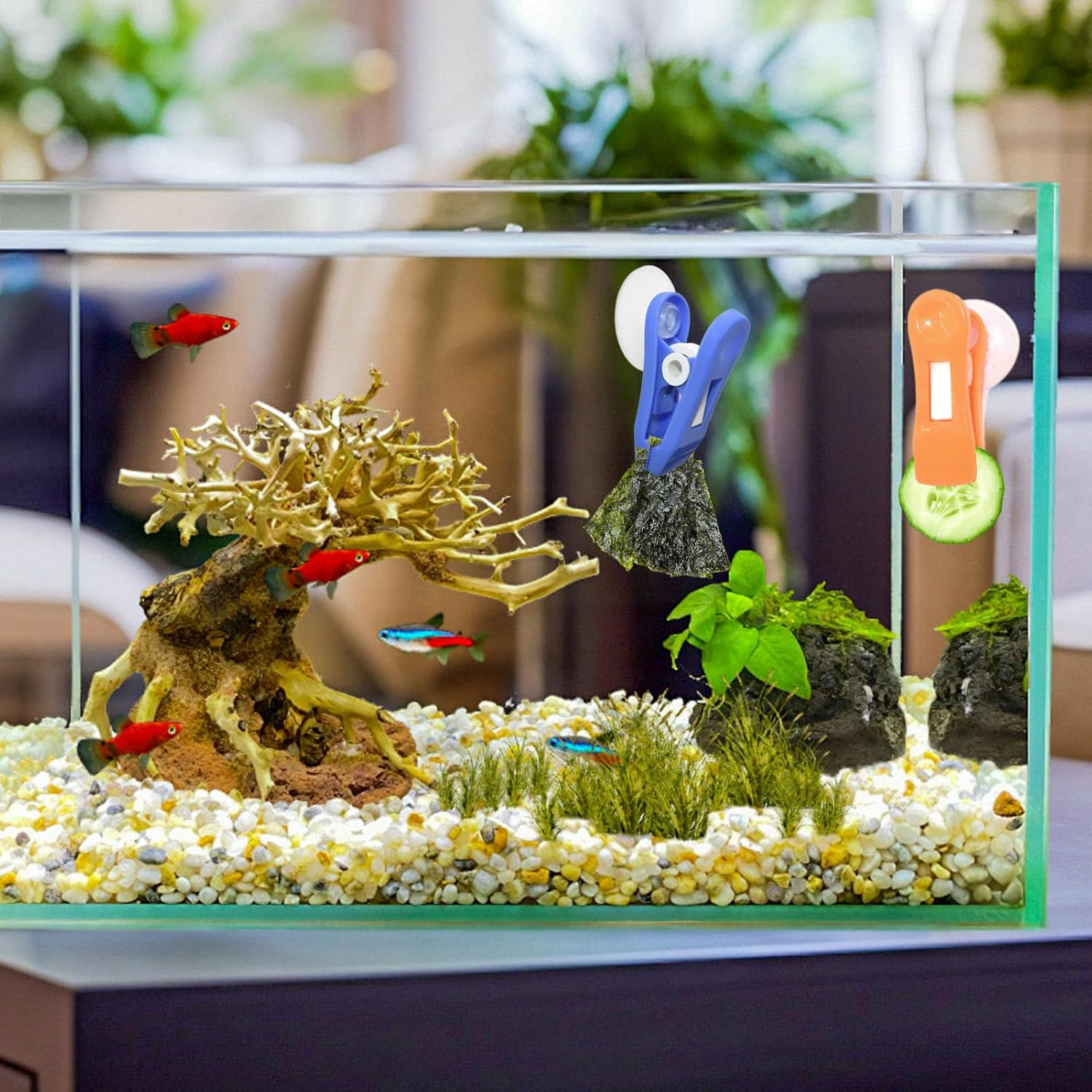 Plant Feeding Clips - Visually Attractive Environment, Water Friends Tools | Aquatic Pets with Practical Accessories for Fish Tanks, Clip Feeder by Al image number 1