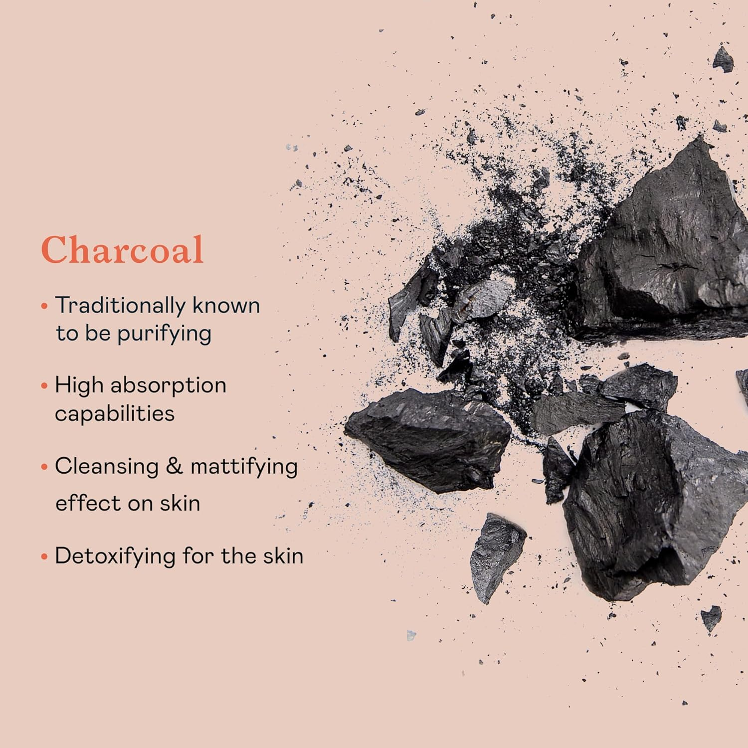 Erborian - Charcoal Konjac Sponge - Eco-Friendly Cleaning, Purifying, Mattifying and Exfoliating Face Sponge - Korean Skin Care - 1 Unit image number 1