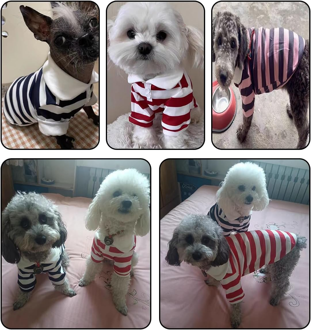 MANON ROSA Dog Clothes Cute Polo Shirt - Soft & Breathable Collared T-Shirt Summer Fall Outfits for Small Medium Dogs Cat - Great for Doggy and Kitten Photoshoots (Small,Red)