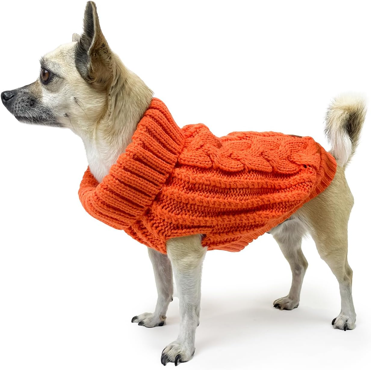 Huskimo Cali Knit Dog Jumper, Tangerine, 27Cm