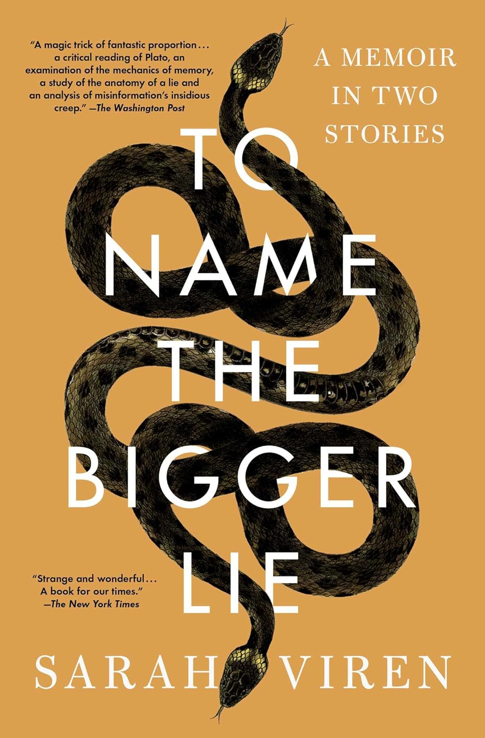 To Name the Bigger Lie: a Memoir in Two Stories