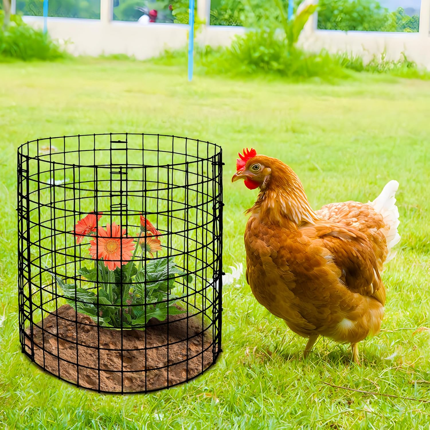 Adnee 10 Packs Wire Plant Protector from Animals - 12" H X 12" D Metal Mesh Plant Cage Covers - Sturdy Garden Bunny Barricades Chicken Wire Cloche for Plants Shrubs Vegetables Flowers image number 5