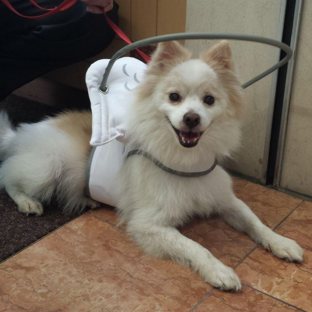 Muffin'S Halo Guide, 1X-Large, Durable Safeguard for Blind Dog'S Head, Nose, Face and Shoulders from Bumping into Hard Surfaces