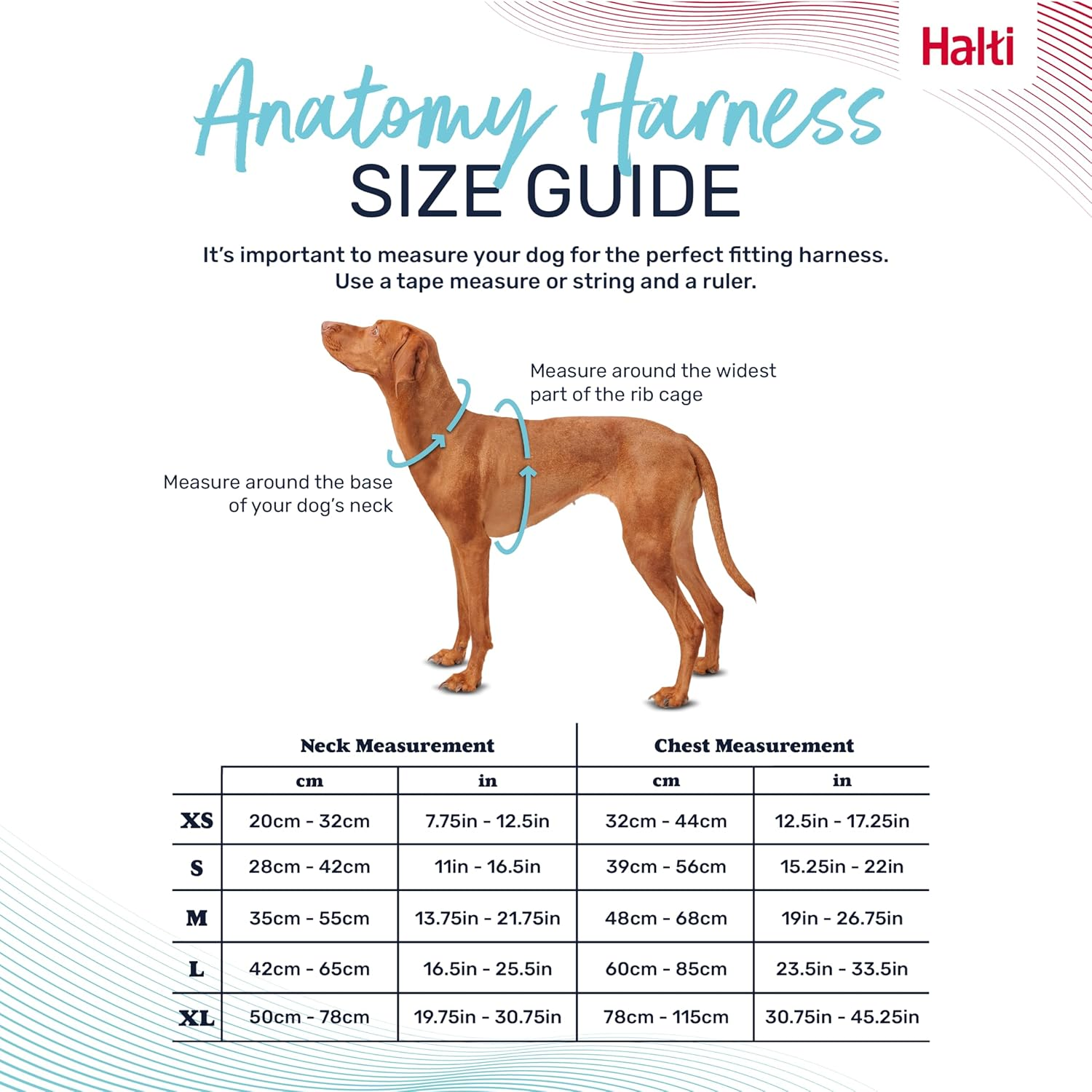 HALTI Anatomy Dog Harness with Handle - Provides Your Dog Freedom of Movement for Comfortable Walking. 3 Lead Attachment Points, Neoprene Padded, Adjustable, and Reflective (Size Large, Grey) image number 4