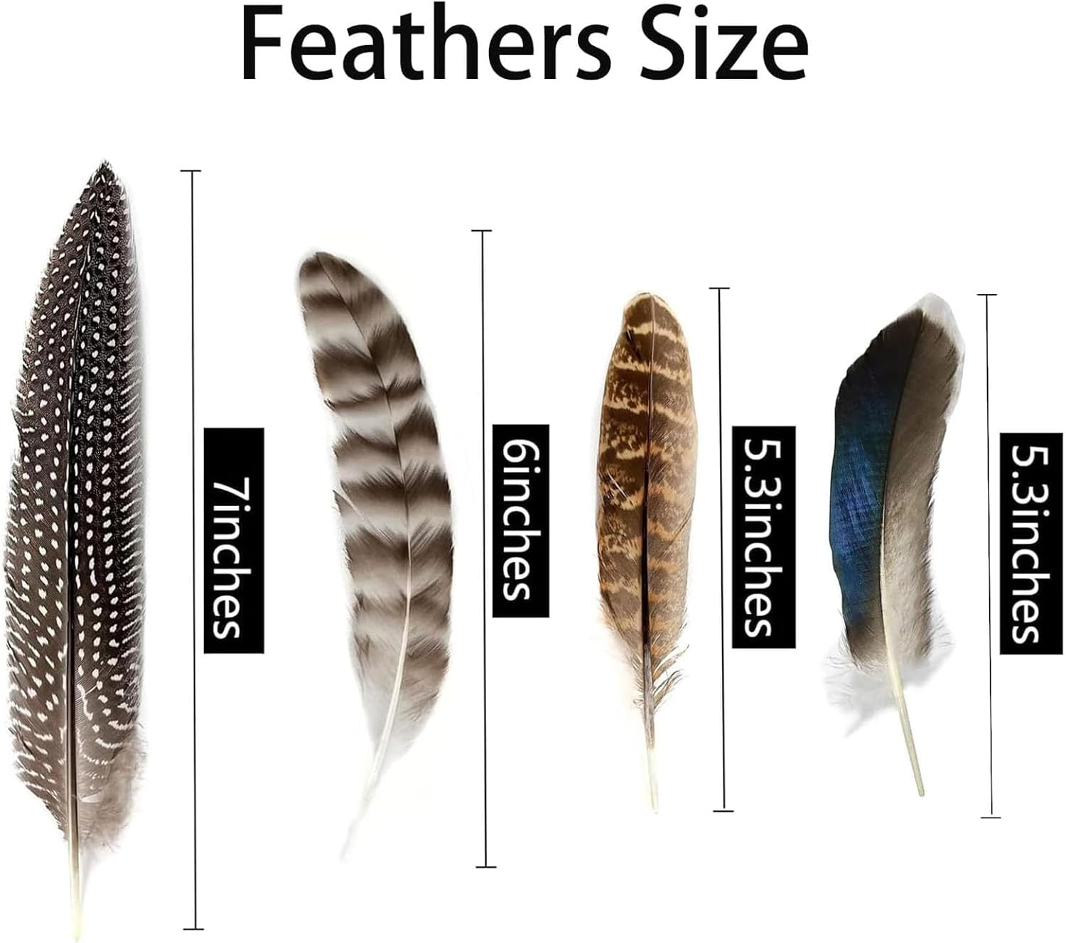 40Pcs Natural Pheasant & Turkey Feathers for Crafting DIY Hat, Flower Arrangement, Party - 4 Styles Spotted Craft Decorative Feathers image number 3