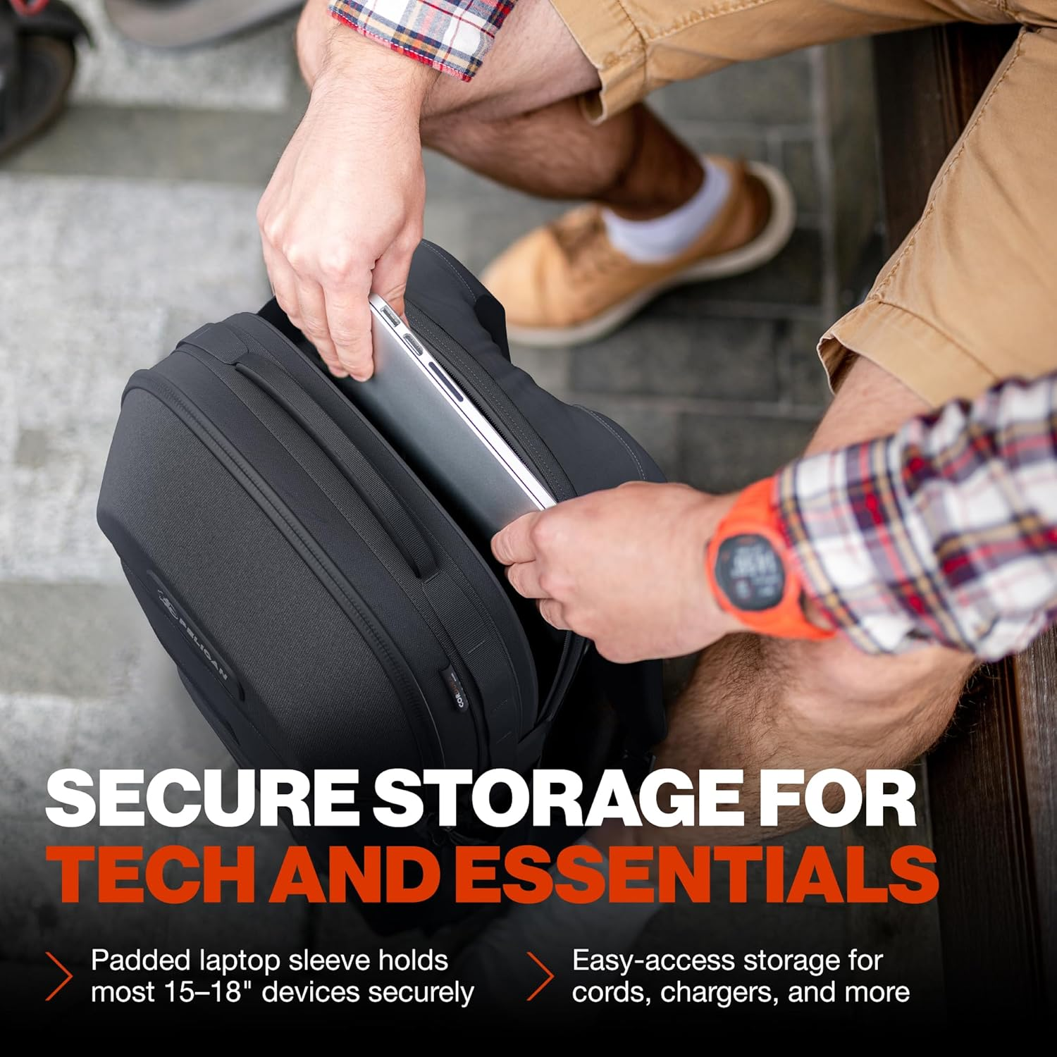 Pelican Pelican image number 2