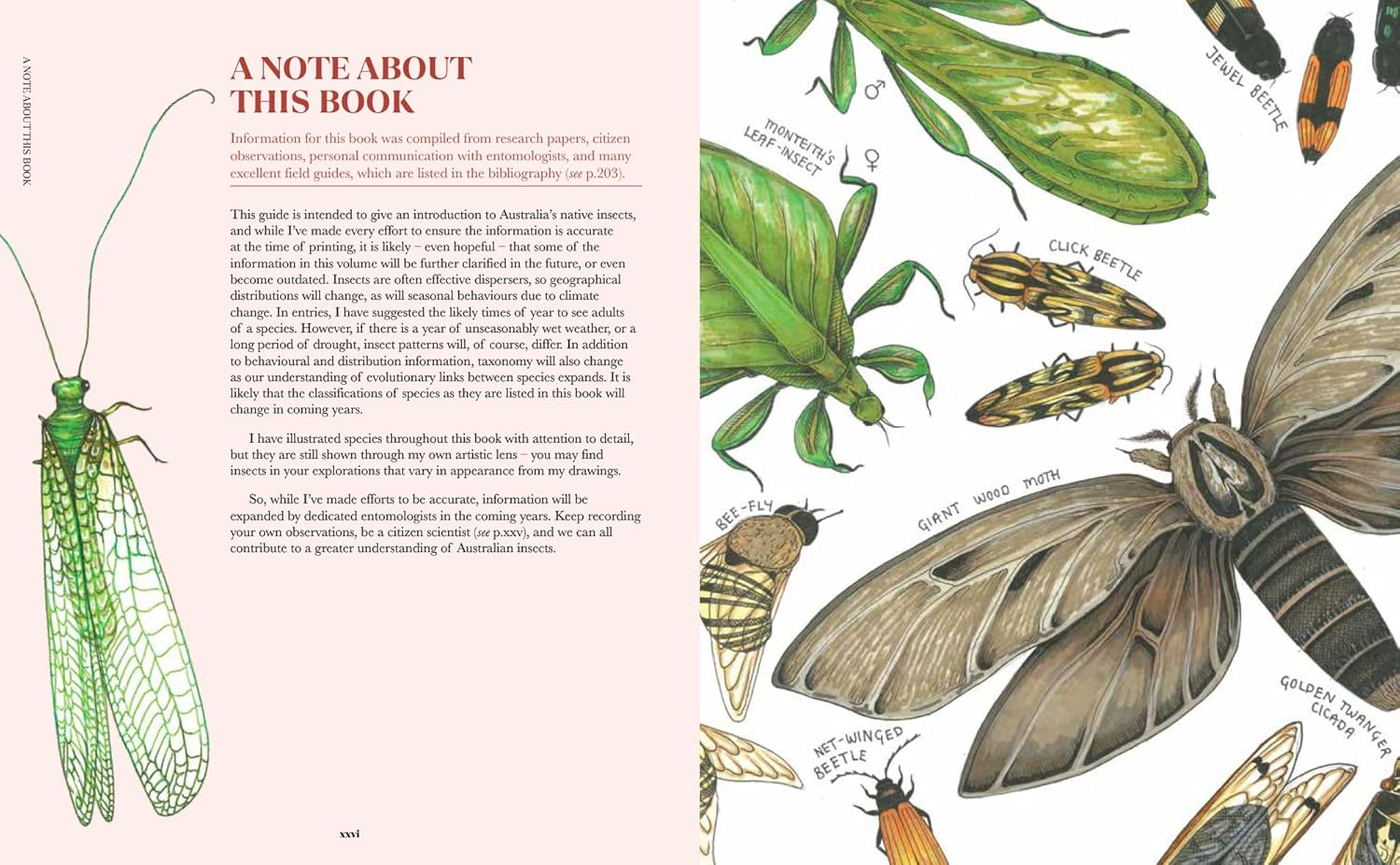 100 Australian Butterflies, Bees, Beetles & Bugs image number 1