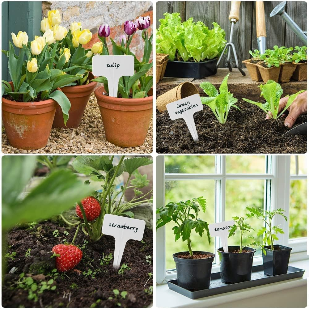 Datpuik 100 PCS White Plastic Plant Tags Thick Gardens Labels T-Type Nursery Markers Re-Usable image number 4