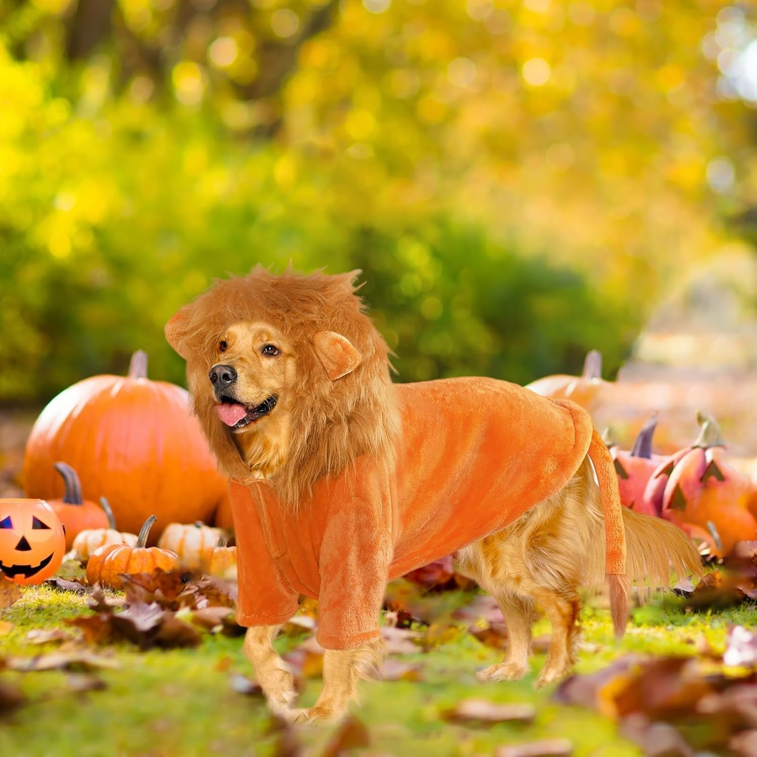 NACOCO Dog Halloween Lion Costume - Large Pet Clothes Cosplay Outfit Dog Lion Mane Apparel Party Hoodies Warm with Leash Hole for Small Medium to Large Sized Dogs (X-Large) image number 3