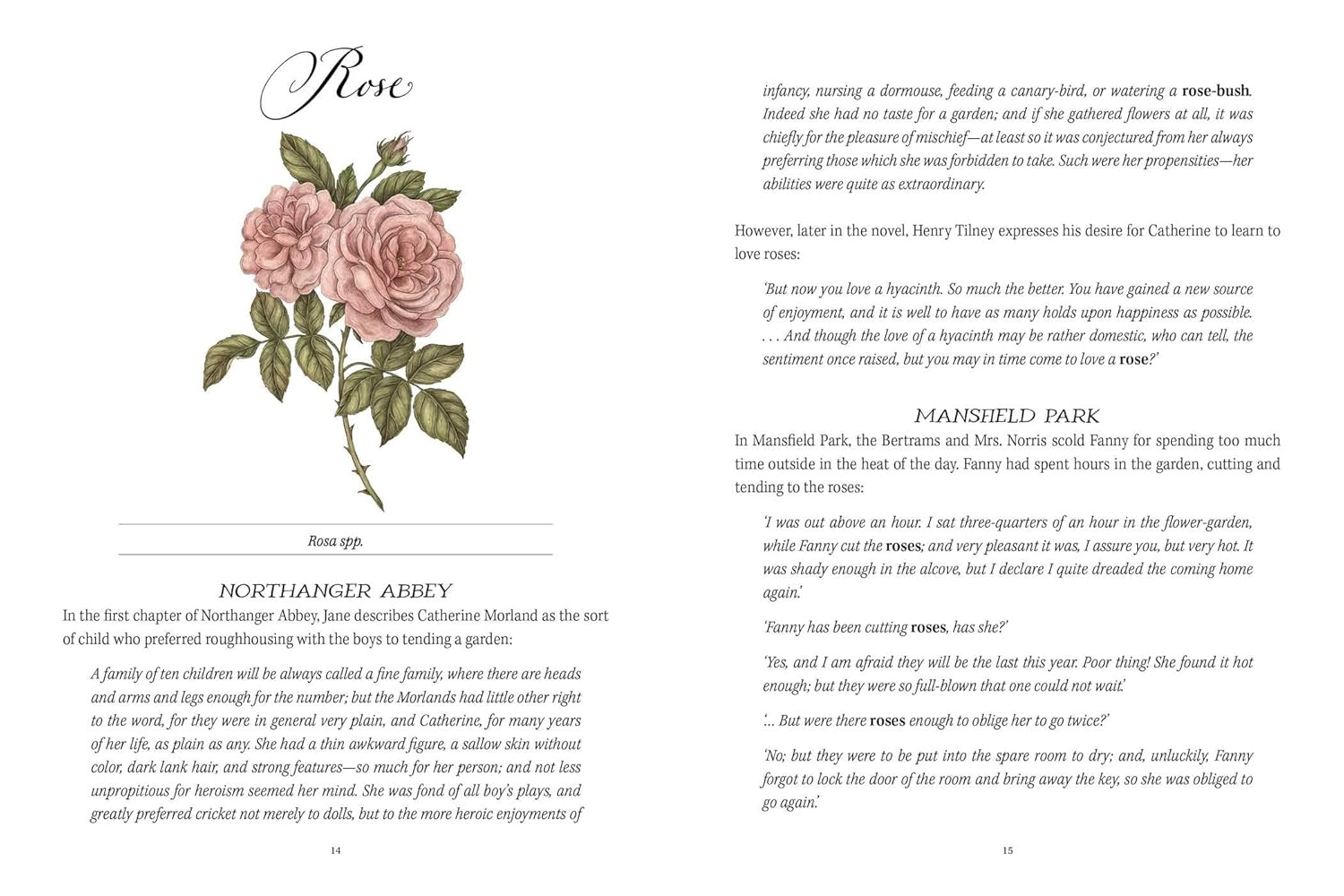 Jane Austen'S Garden: a Botanical Tour of the Classic Novels image number 5
