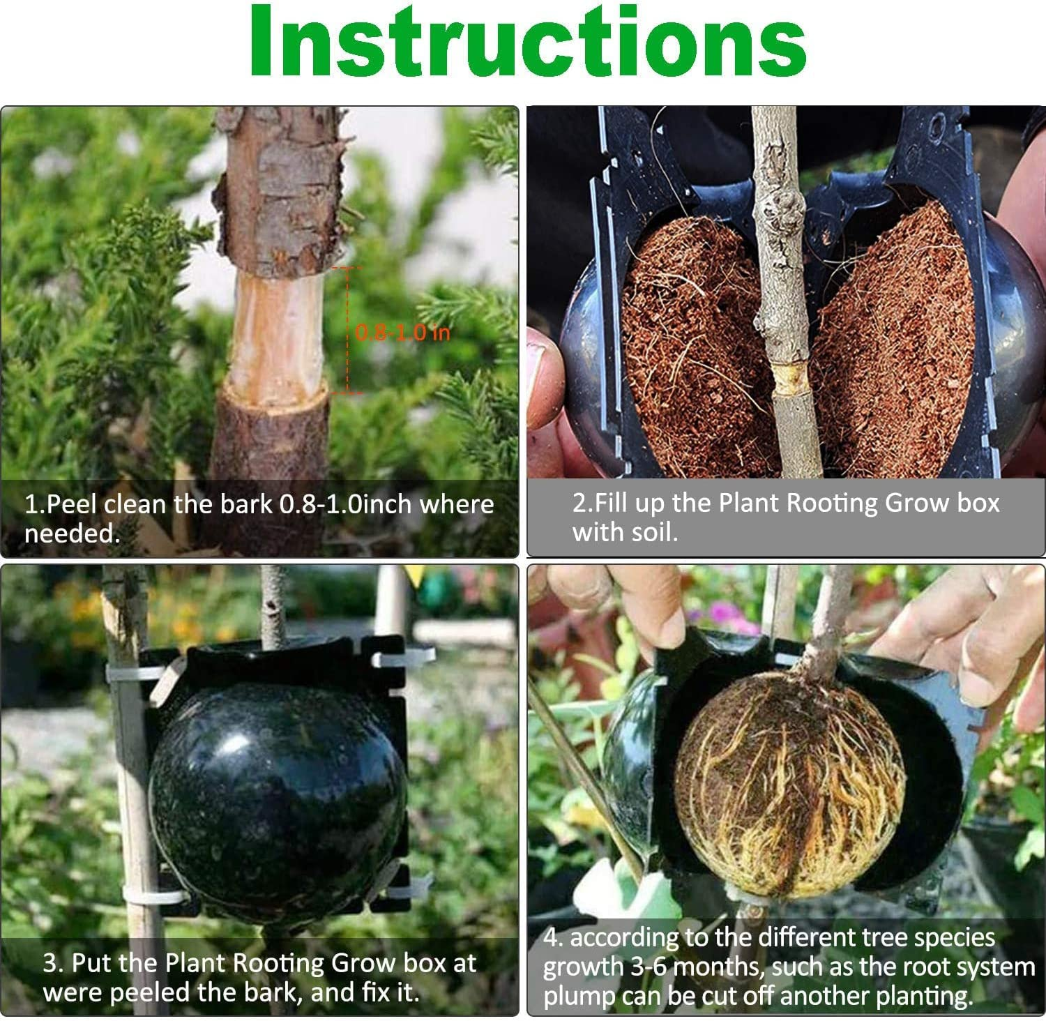 10Pcs Plant Rooting Device High Pressure Propagation Ball Root Grow Grafting Box Rooter Box S/M/L (M) image number 5