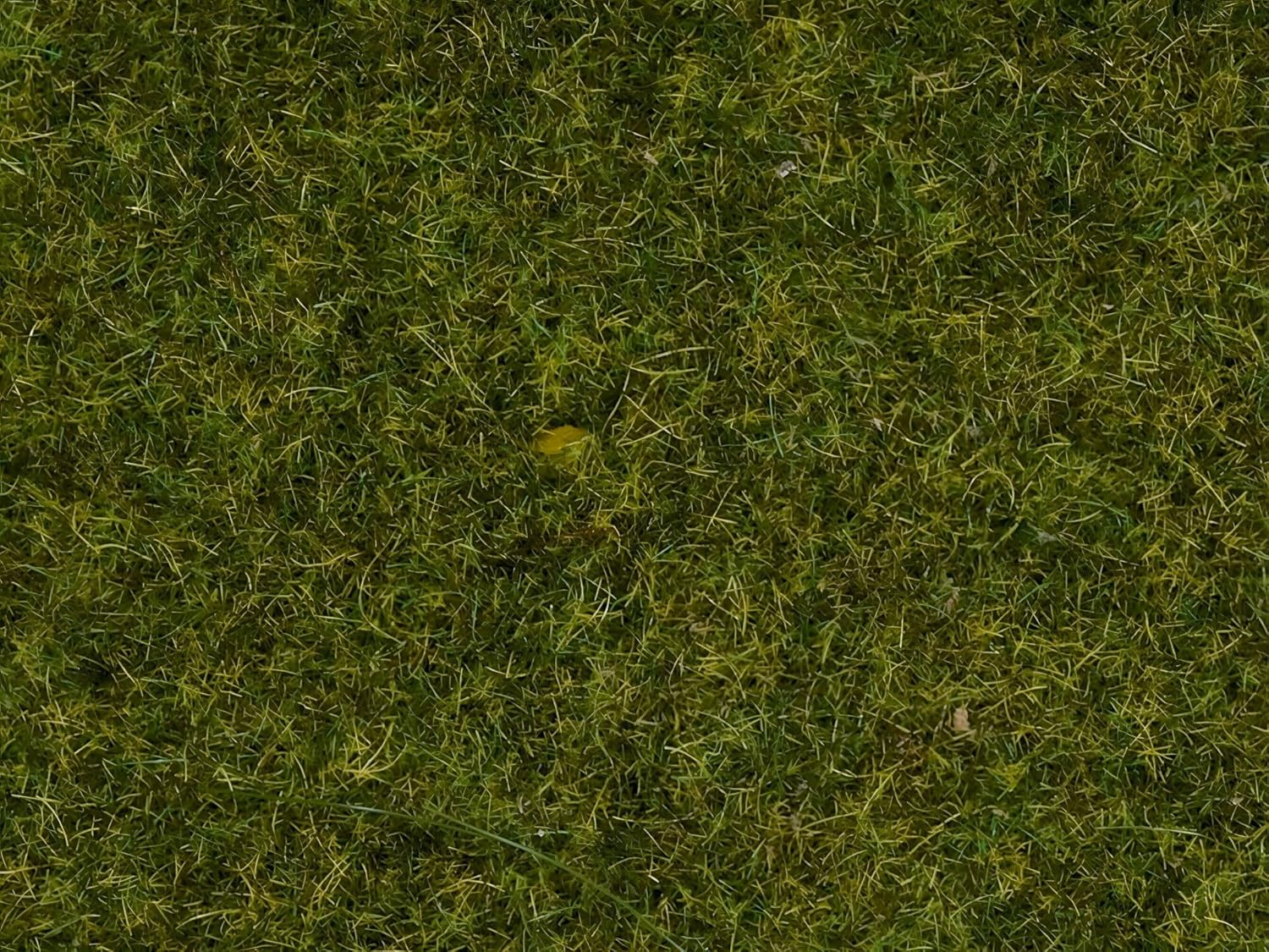 Noch NOCH 0Noch Scattered Grass Meadow, 2.5 Mm image number 4