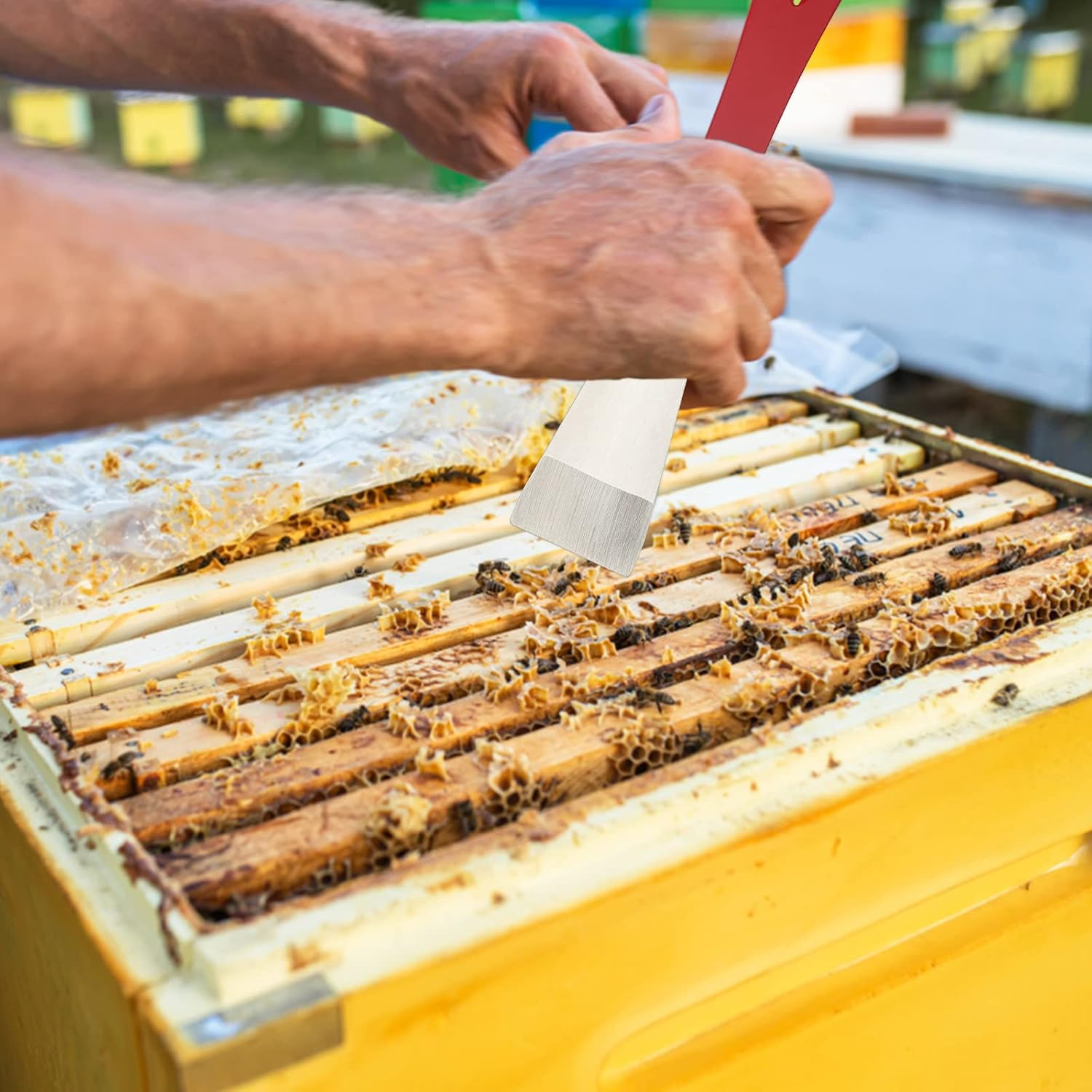 KINGLAKE GARDEN Beekeepers Hive Tool,2Pcs Beekeeping Equipment,Cleaning Your Beekeeping Supplies and Bee Hive,Stainless Steel Bee Hive Scraper image number 2