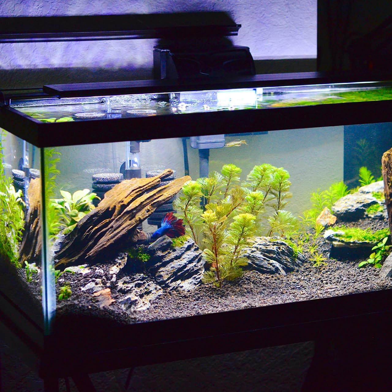 OATIPHO Aquarium Foams Mat - Protective Mat for Aquariums - Fish Tank Thicken Pad Leveling Mat - 400Mm X 300Mm image number 1