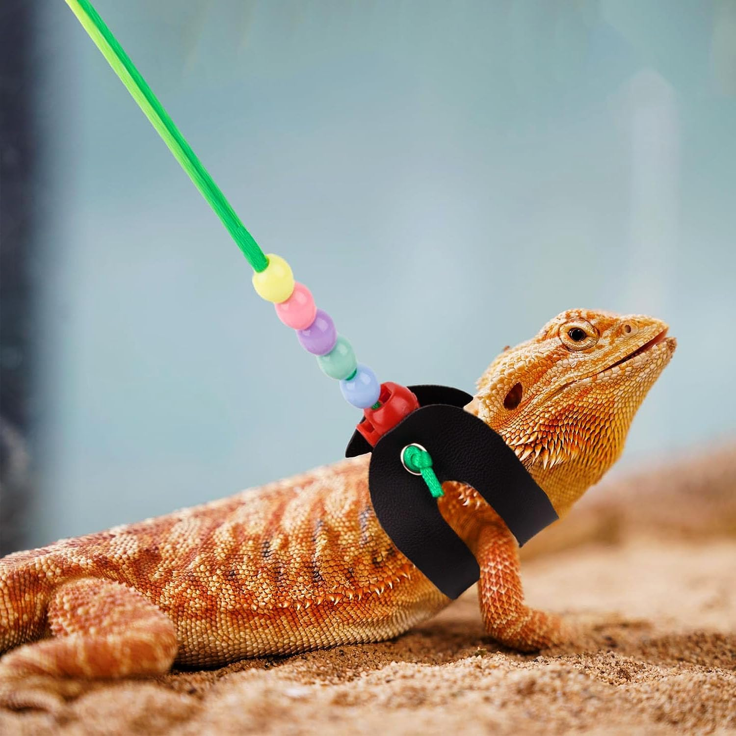 Lizards Leash Bearded Dragon Adjustable Small Reptile Animals Harness 3 Size Soft Leather Harness Lizards Leash with Wing for Small Medium and Large Reptile Animals (Black (Color Rope)) image number 4