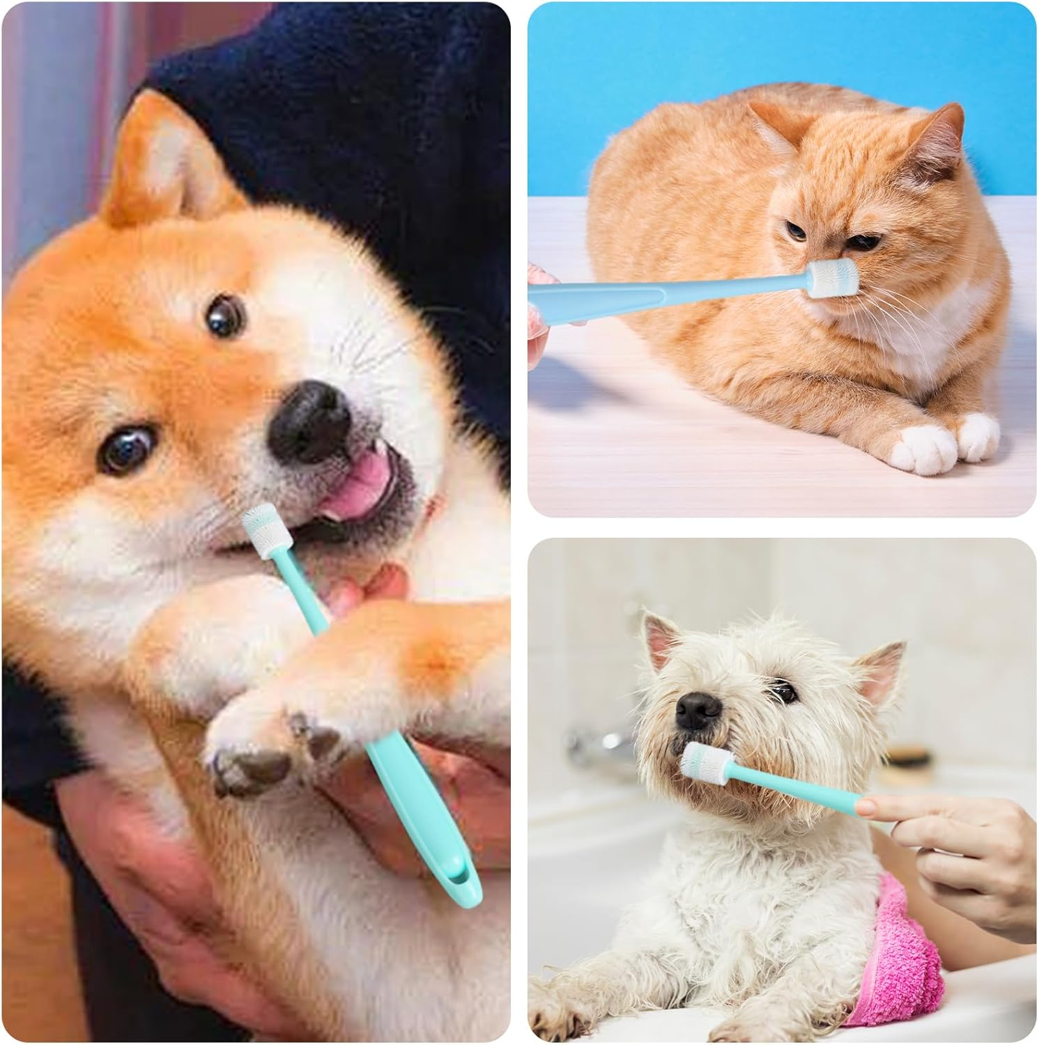 Pack of 3 Dog Toothbrushes, 360 Degree Cat Toothbrush, Soft, Long Handle Cat Toothbrush for Cats, Reusable Dog Toothbrush for Small Dogs, Pets Silicone Toothbrush, for Dogs, Cats Dental Care image number 1