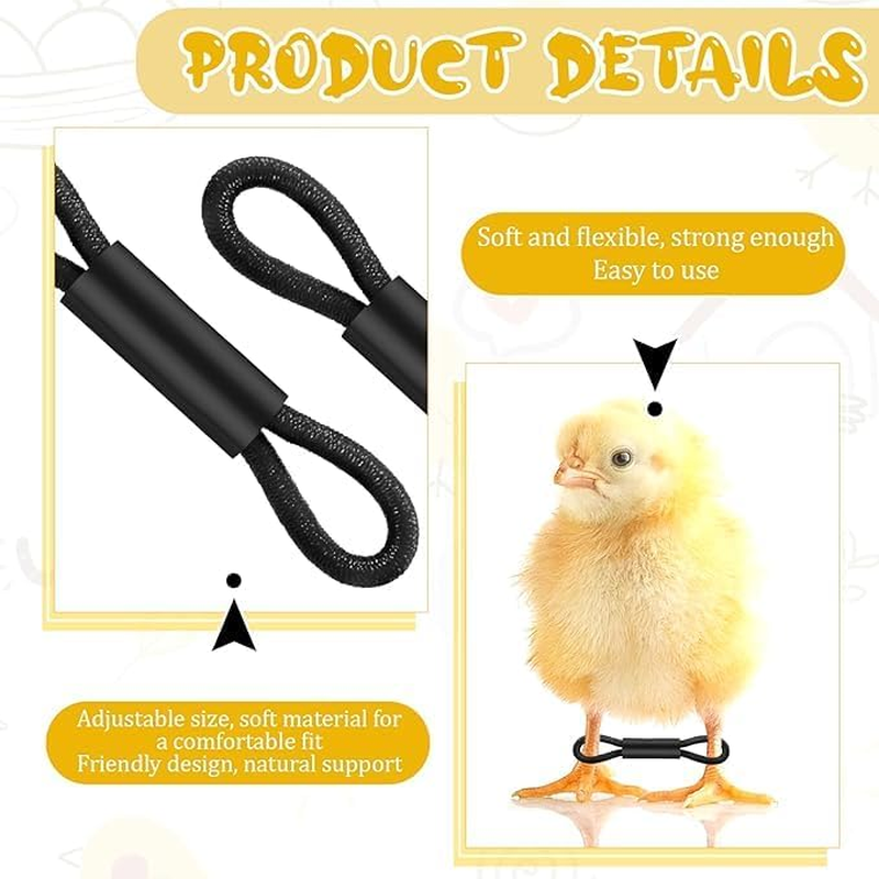 Ksngtixe 100Pcs Elastic Chick Leg Bands - Poultry Leg Braces for Chicks, Quail, Ducks, Pigeons, Splay Foot Correction for Small Birds