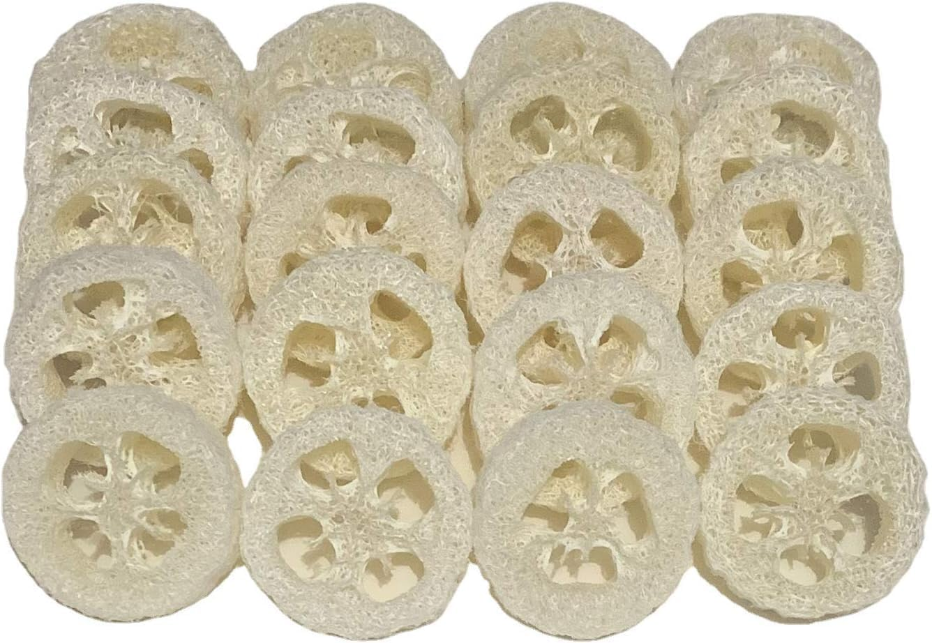 Natural Loofah Sponge Slices for Soap Making, 20 Pcs Natural Loofah Slices Natural Loofah Cuts, Natural Loofah Luffa Loofa Slices, Natural Loofah Luffa Loofa Slices Natural Loofah Slices image number 3