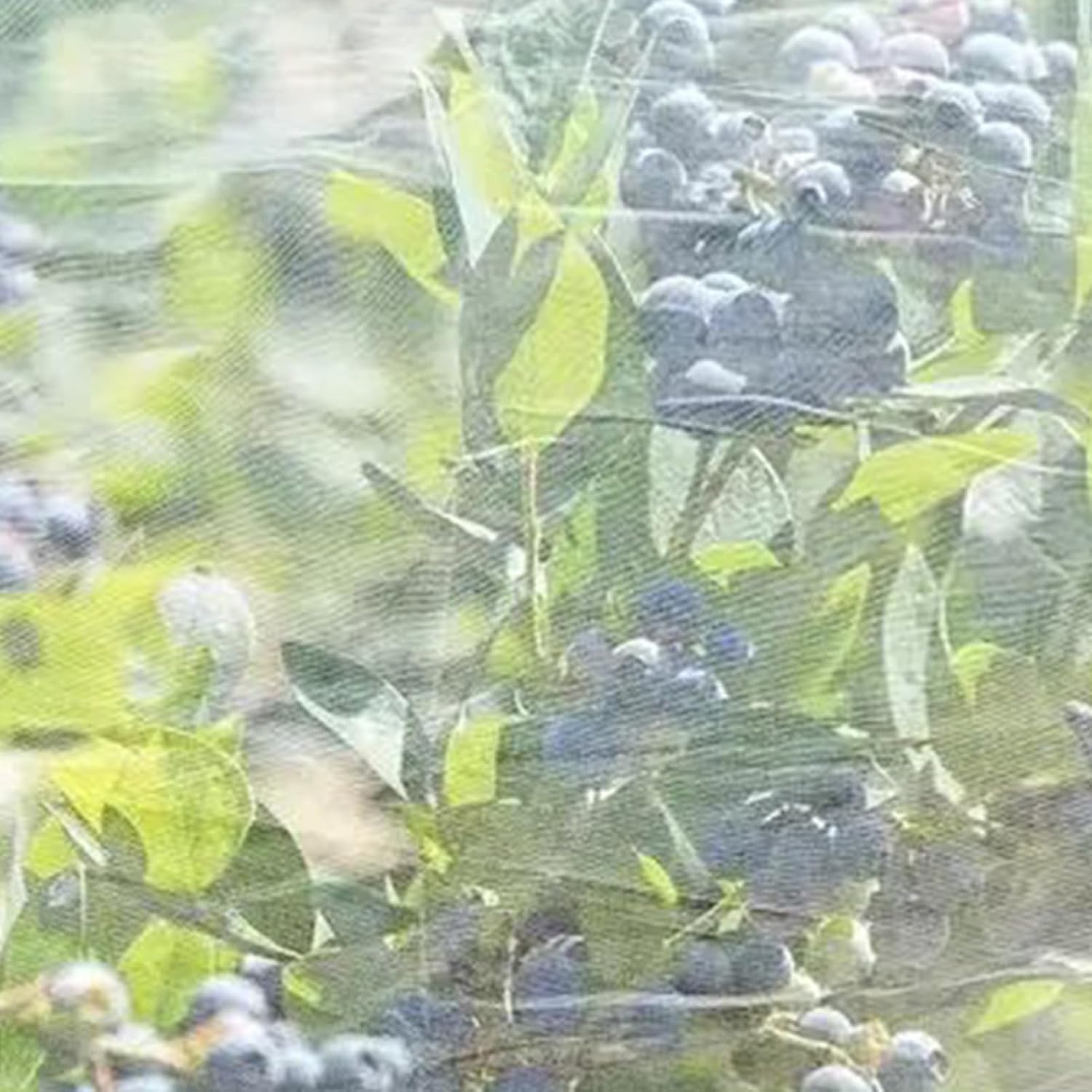 Fruit Tree Protection Netting | Protective Cover with Drawstring | UV Resistant and Weather Resistant with Zipper and Cord for Orchards, Outdoors, Garden, Greenhouse image number 4