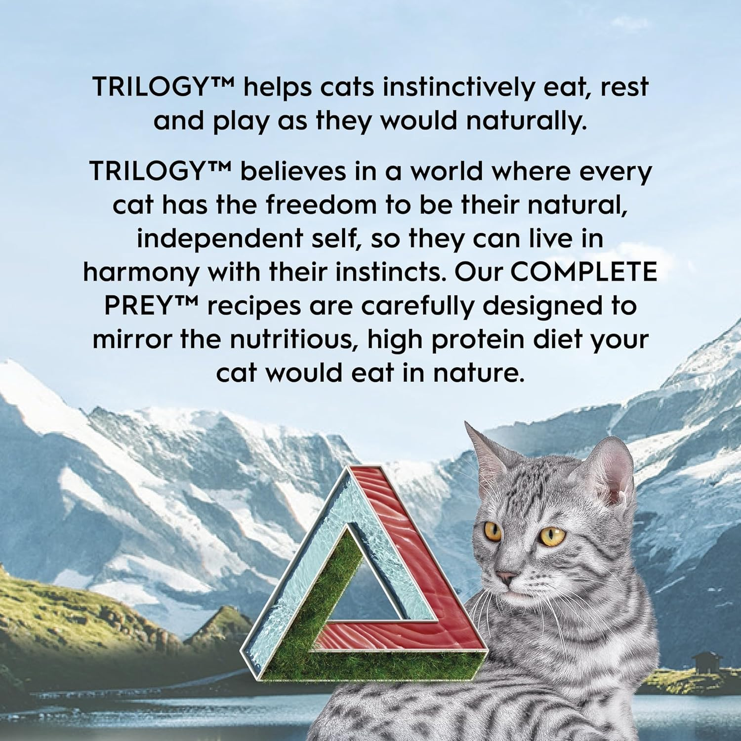 Trilogy Complete Prey P&acirc;t&eacute; Wet Cat Food, Wild Caught Salmon, 24X85G, Grain Free Natural P&acirc;t&eacute;, 88% Meat & Organ Protein for Healthy Muscles and Hydration image number 6