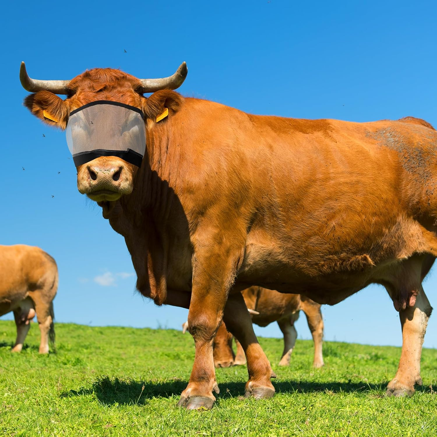 Abbylike 2 Pcs Cattle Livestock Fly Mask Breathable Mesh Padded Adjustable Fit for Cattle