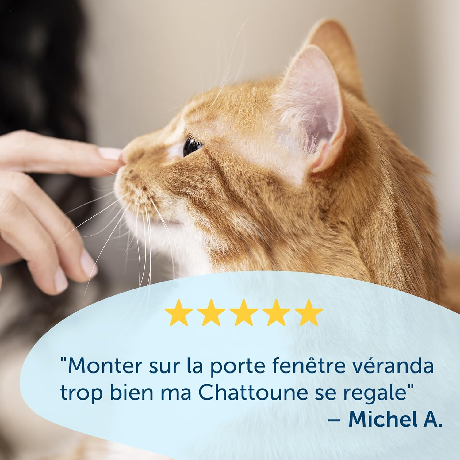 Staywell Cat Door, Type 919, White image number 5