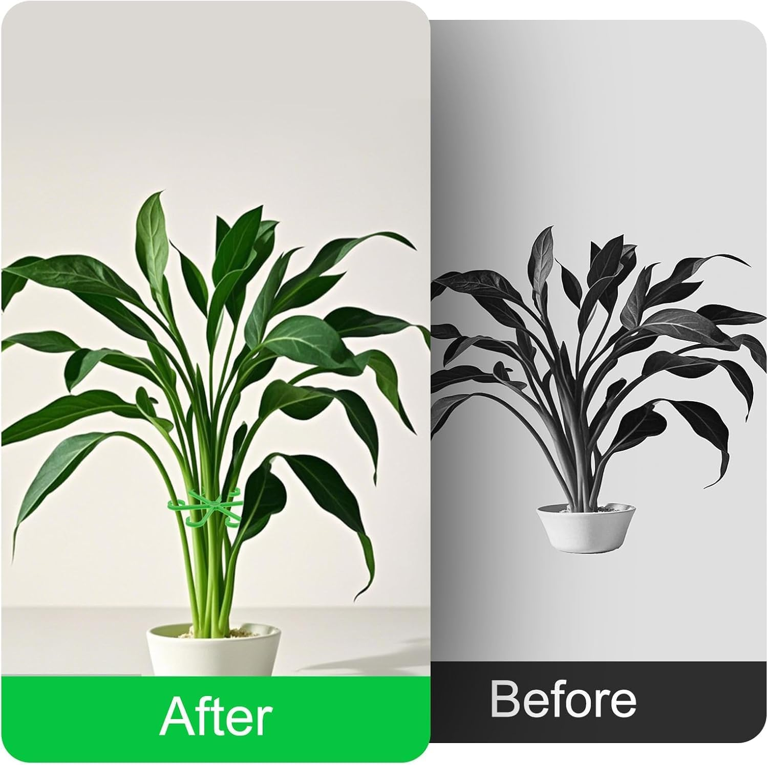 Plant Support Stakes, 16 Piece 4 Sizes Green Plastic Climbing Stem Holders Indoor Plant Trellis Support for Flowers, Flower Plant Stem Hook Stakes Trellis Climbing Indoor Plant Stem Supports Rack image number 6