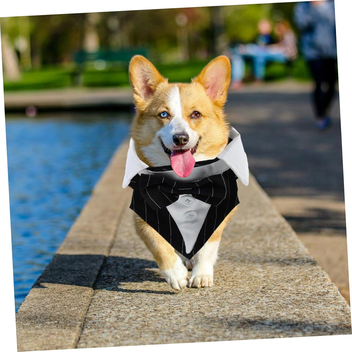 Mipcase PET Tuxedo Suit Formal Dog Bowtie Wear-Resistant Puppy Wedding Attire Washable Party Dress up Clothes Comfortable Polyester Scarf image number 2