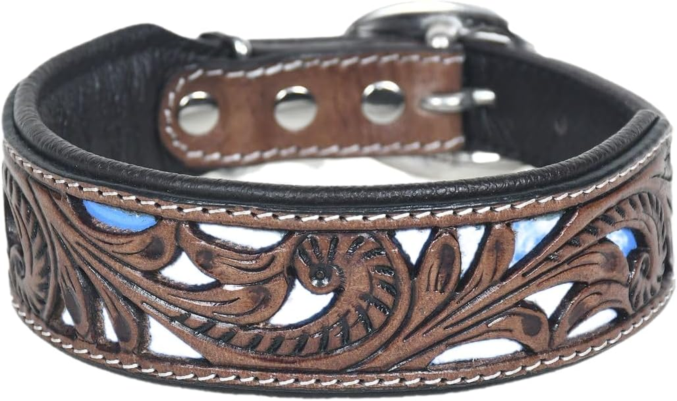 Dog Collar M 13-17 Inches