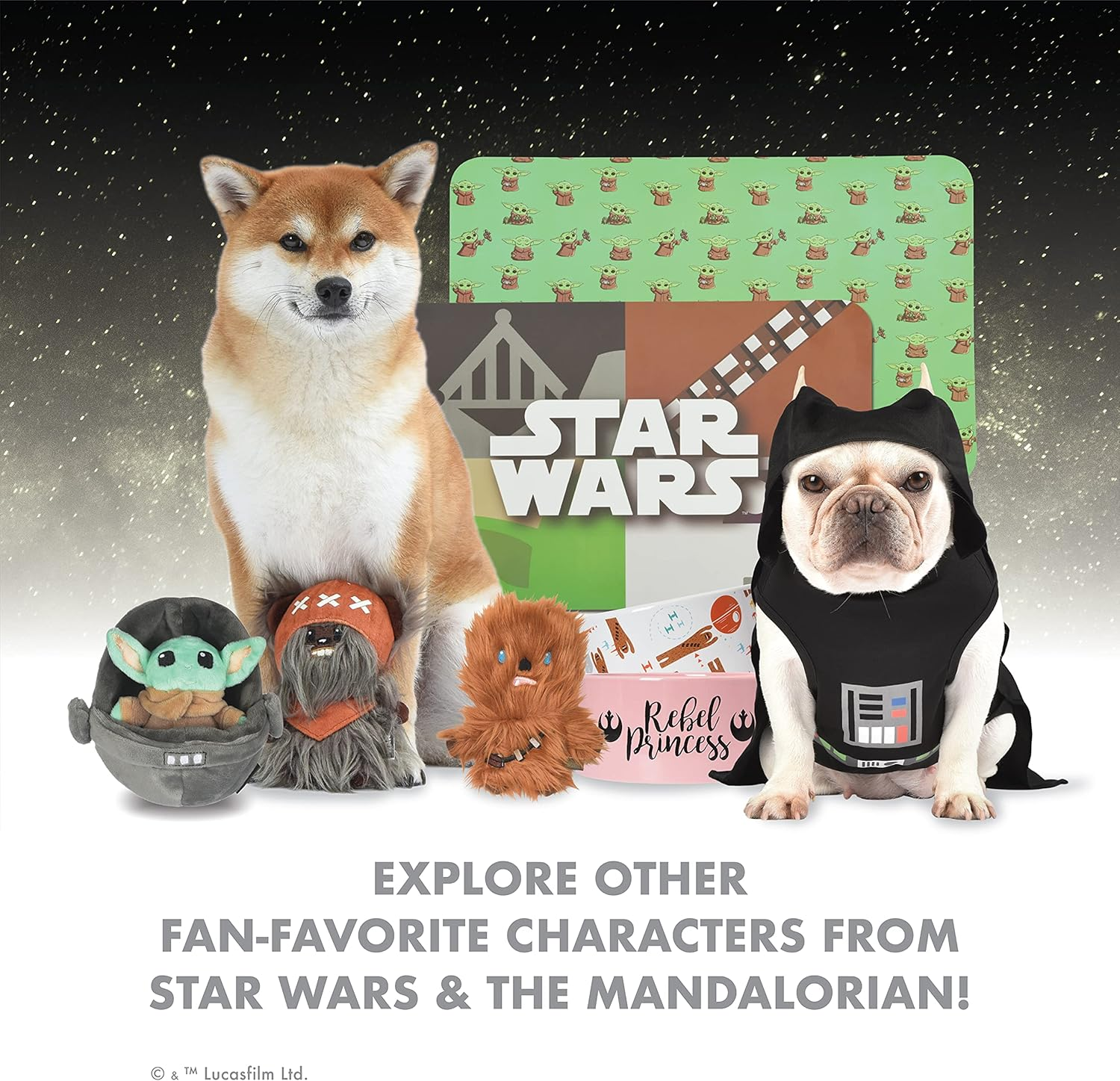 Star Wars for Pets R2D2 Droid 6 Foot Dog Leash | 6 Ft Dog Leash Easily Attaches to Any Dog Collar or Harness | R2D2 Blue Nylon Dog Leash 72 Inches for All Dogs,Multi,Ff16655 image number 3