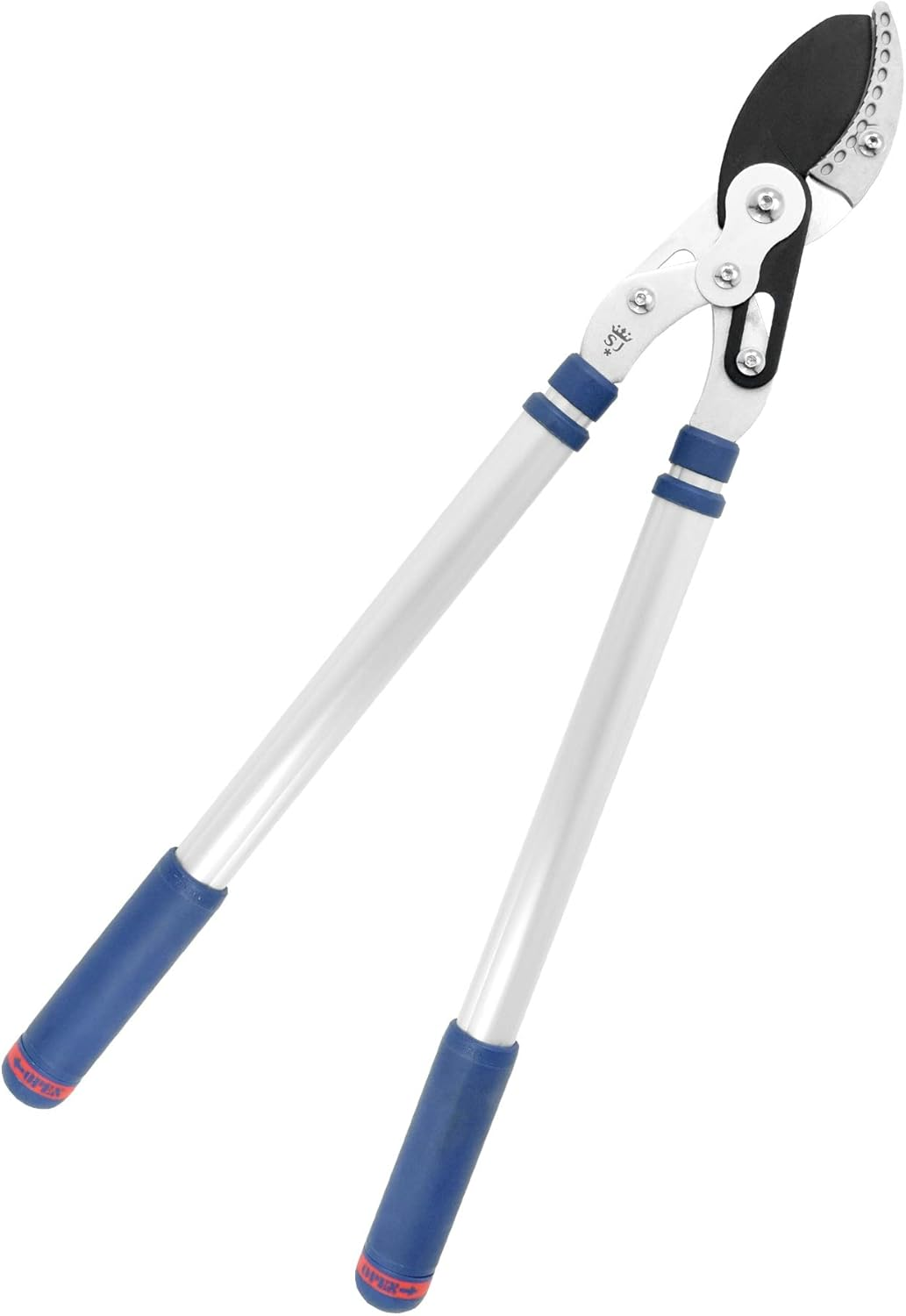 Spear & Jackson Razorsharp Tele Anvil Dual Compound Loppers, 480-800 Mm Length 67.5X25.5X3.5 Cm,Sliver/Blue,8081Rs image number 1