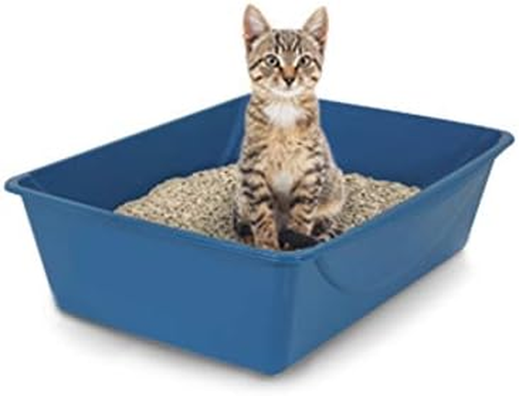 Petmate Open Cat Litter Box, Blue Mesa/Mouse Grey,M (Pack of 1), Made in USA image number 5
