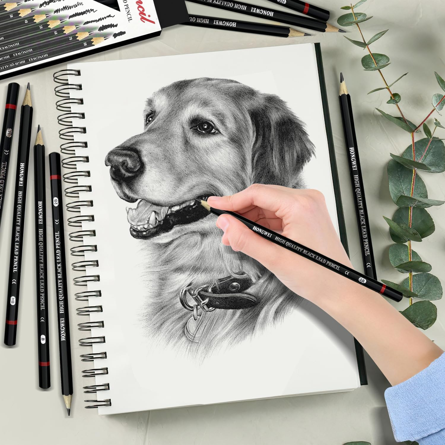 12Pcs Sketch Pencil Set, Drawing Graphite Pencil for Artists Beginner, Ideal for Drawing, Sketching, Shading