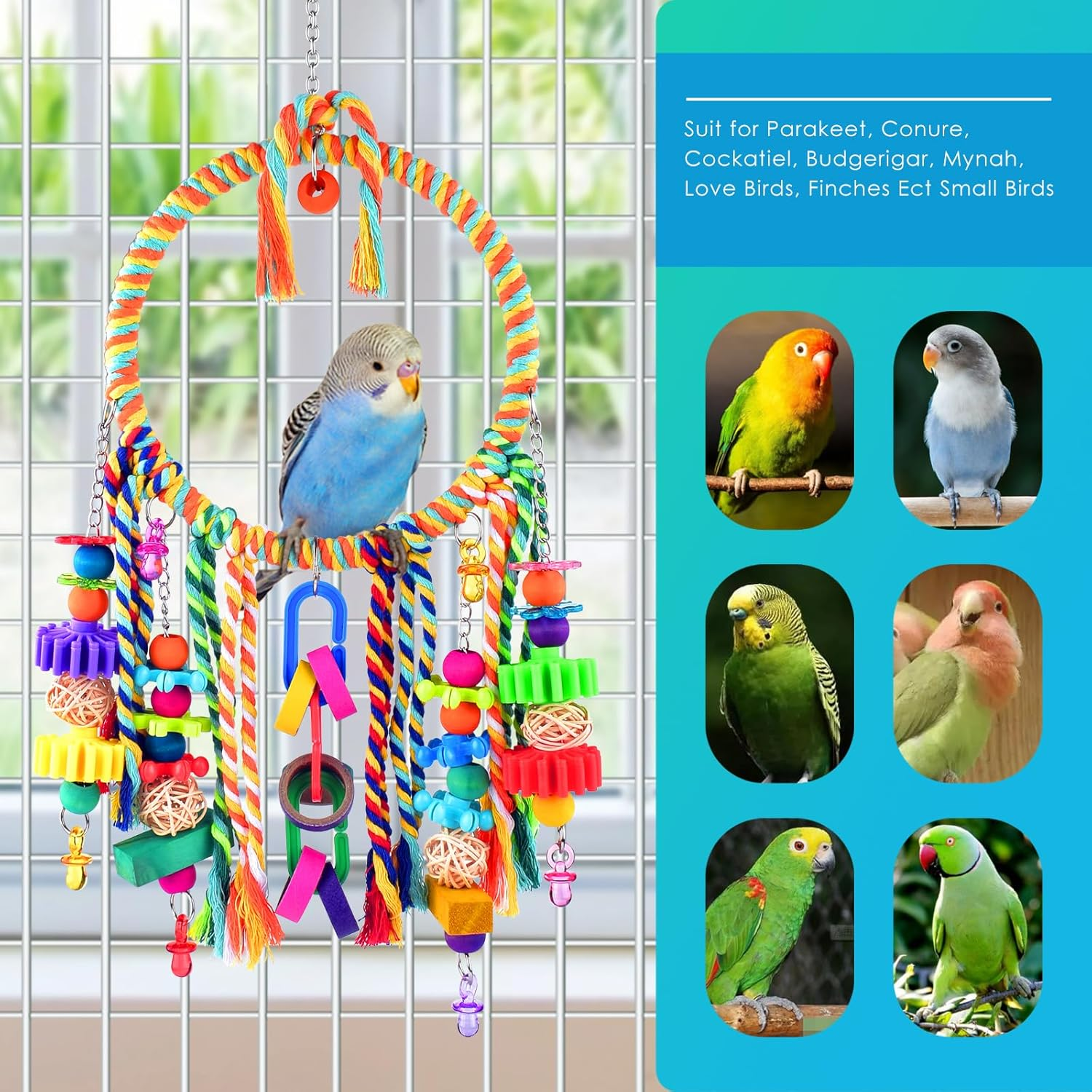 KATUMO Bird Toys - Bird Swing with Colorful Chewing Toys, Suitable for Lovebirds, Finches, Parakeets, Budgerigars, Conure & More image number 4