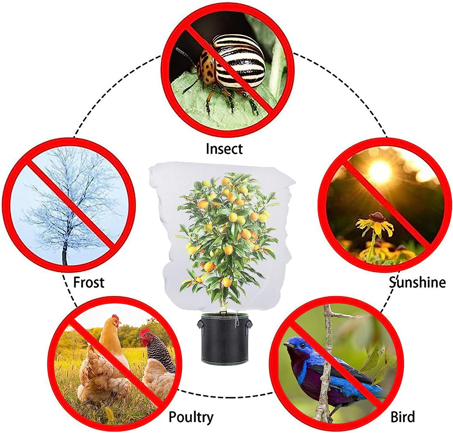 3 Pack Garden Netting Garden Plant Fruits Protection Netting Covers Bags with Drawstring, 3.3Ft X 2.6Ft Garden Plant Netting Barrier Bags, Insect Bird Barrier Netting Mesh for Vegetables image number 5